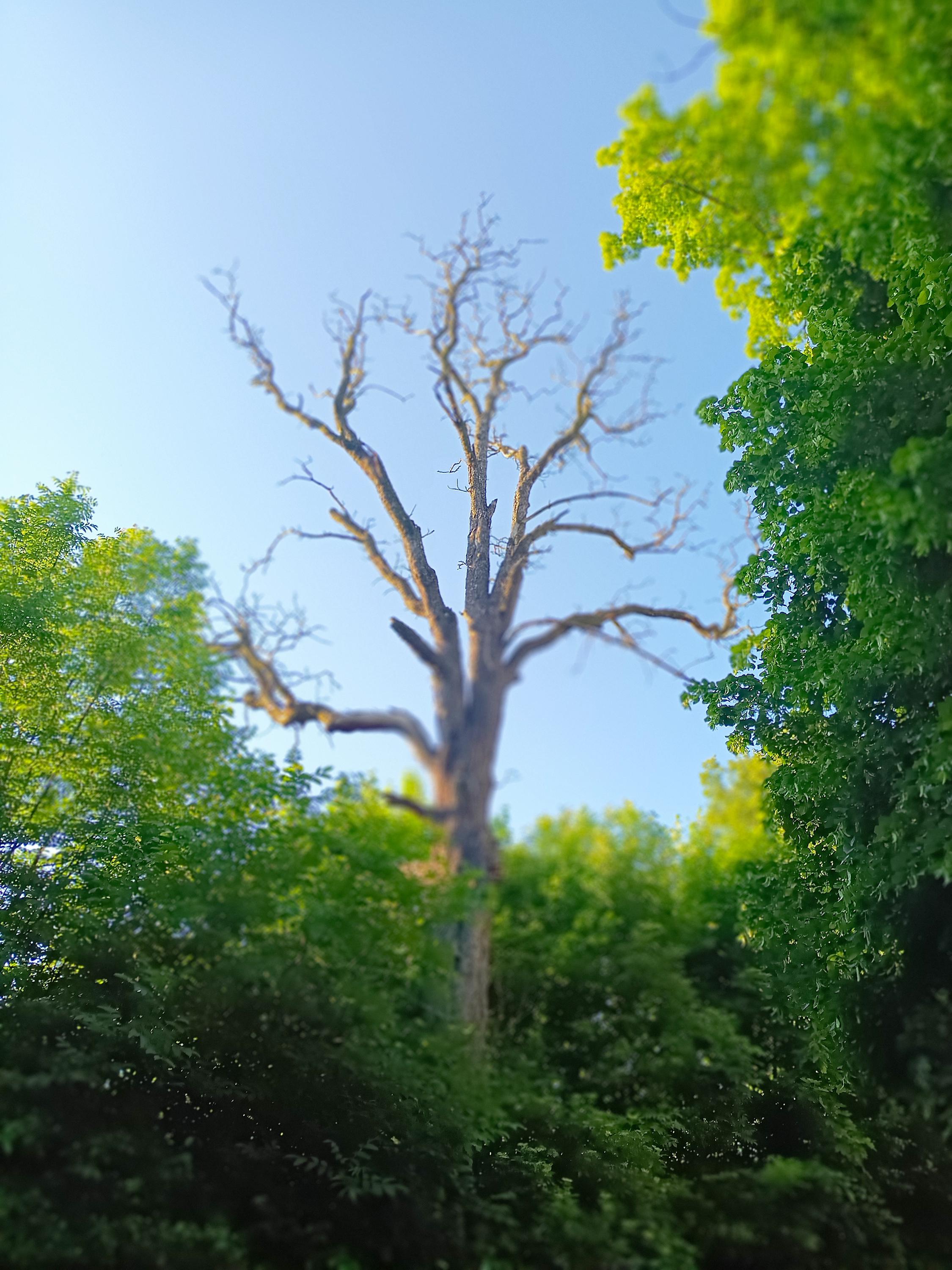 Římskokatolická farnost Brandýs nad Orlicí foto 5