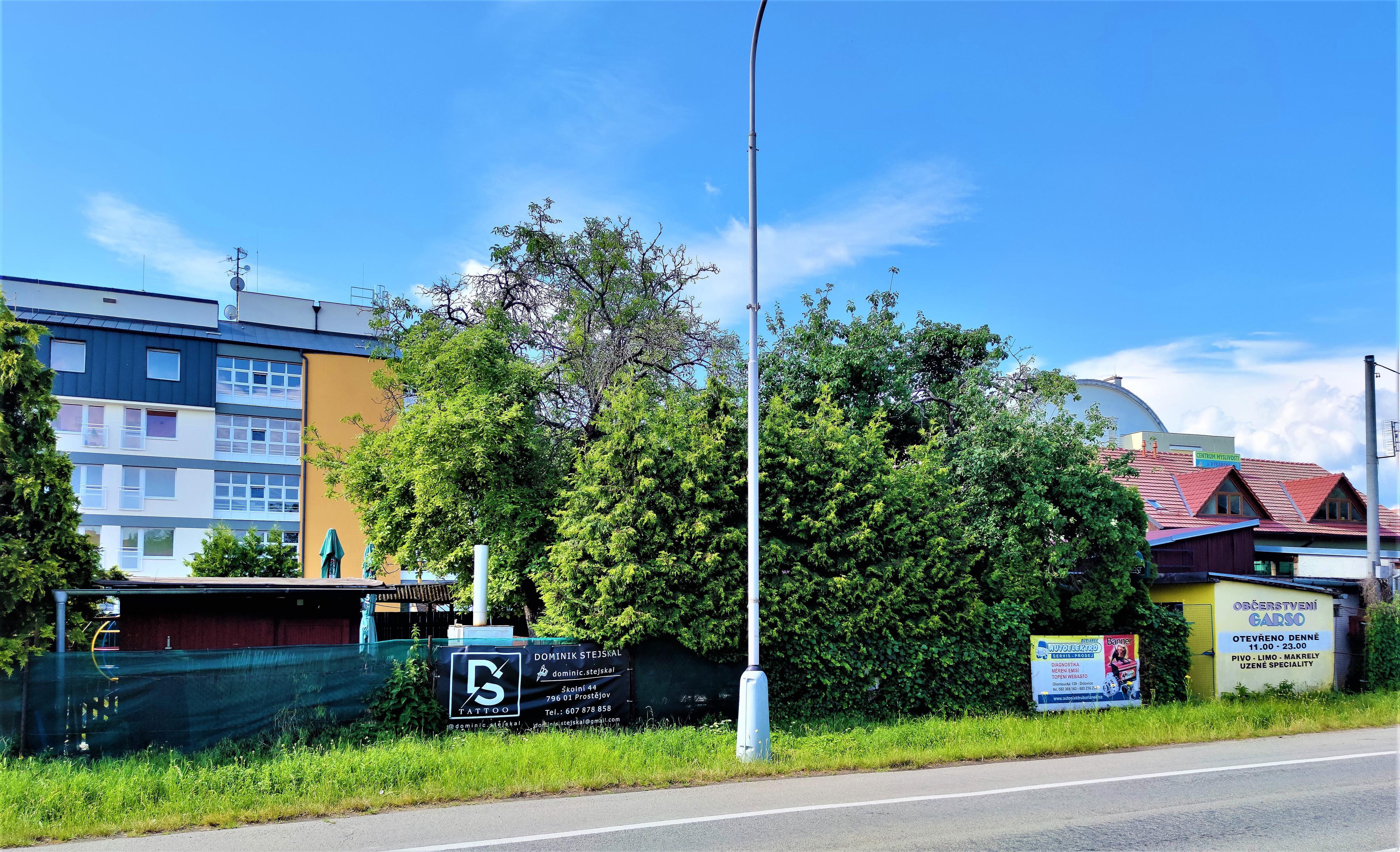 Letní zahrádka Garso foto 5