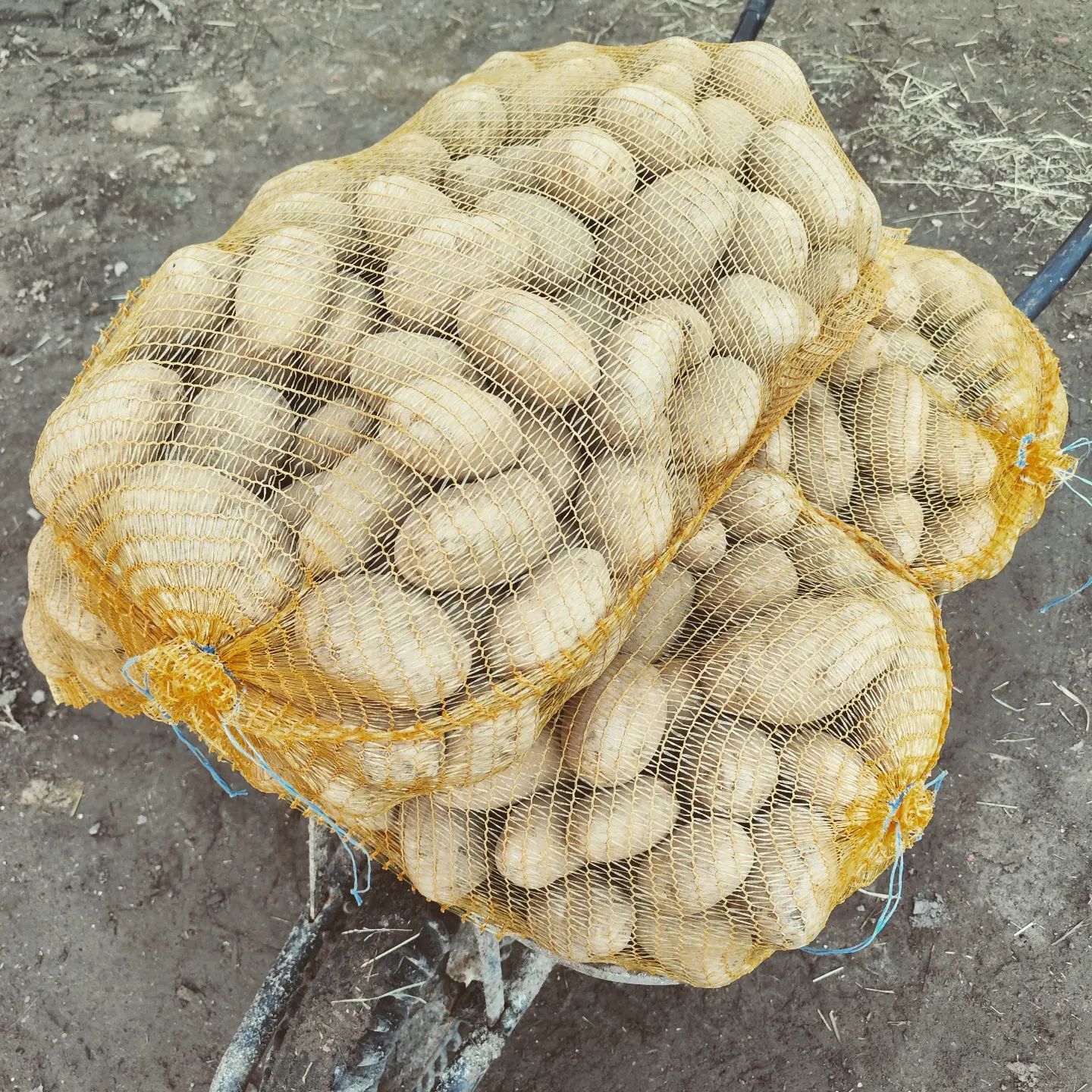 Farma Kala foto 6