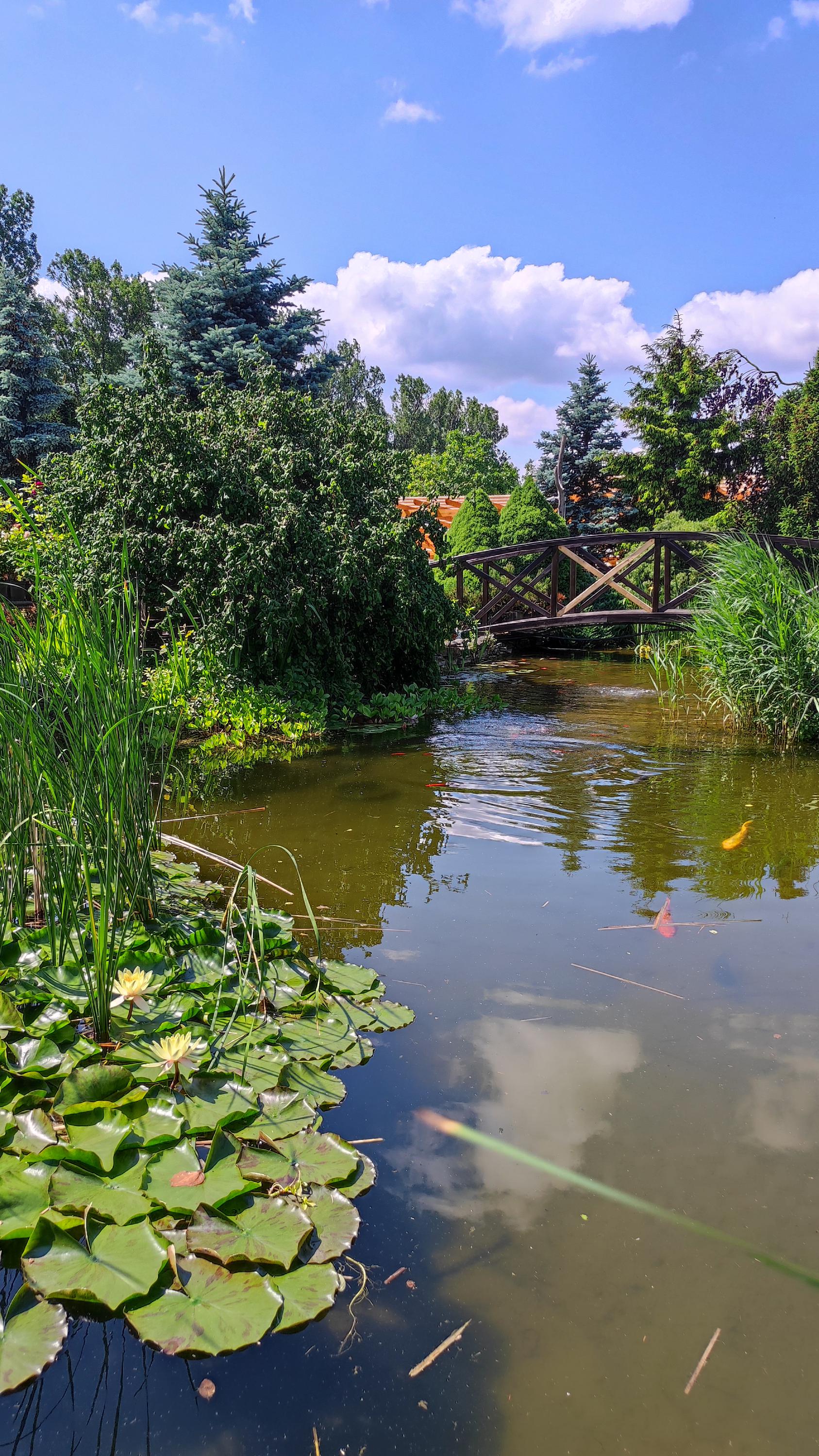 HORTISCENTRUM, s.r.o. foto 2