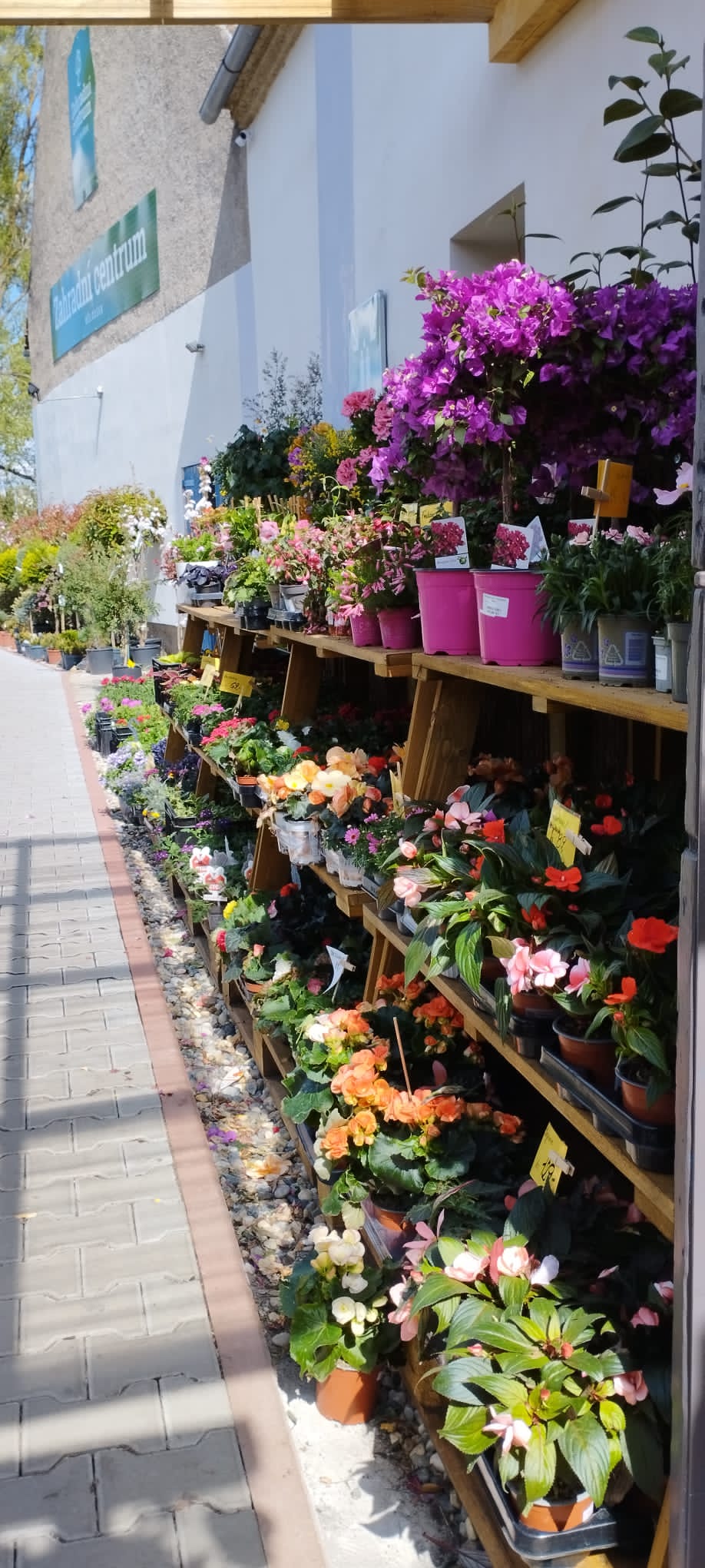 Zahradní centrum Běloušek foto 5