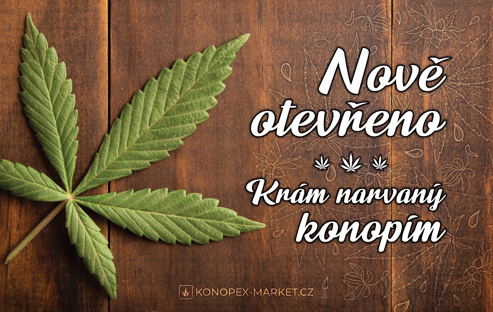 KONOPEX Market & Growshop foto 3