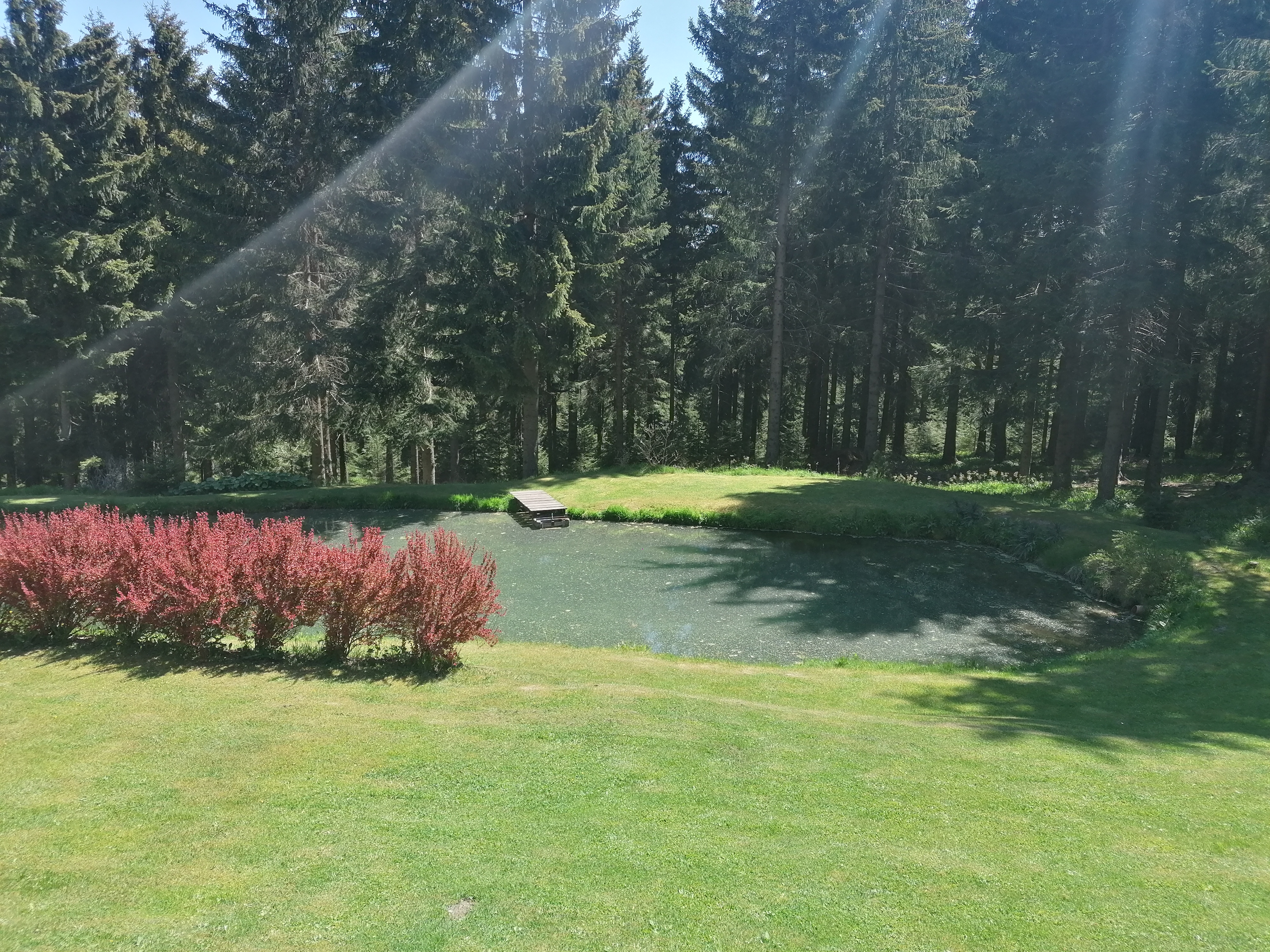 Kalahari cafe foto 4