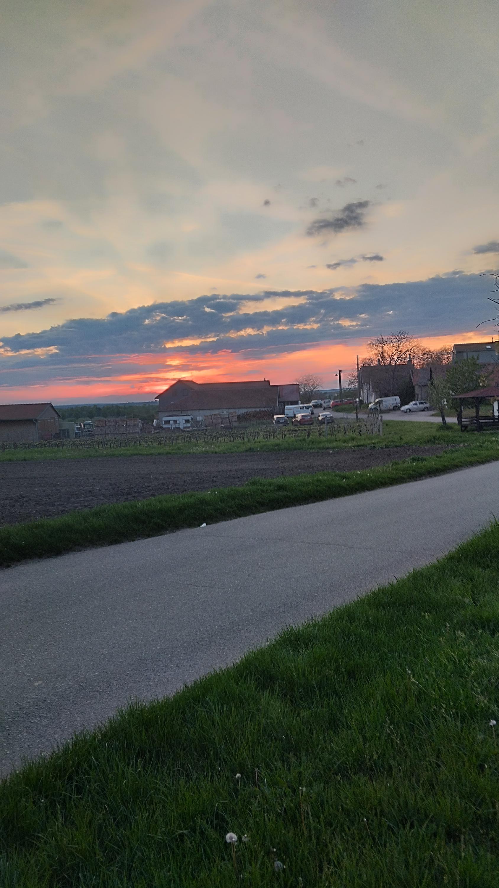 Stáj Mezi vinohrady foto 5