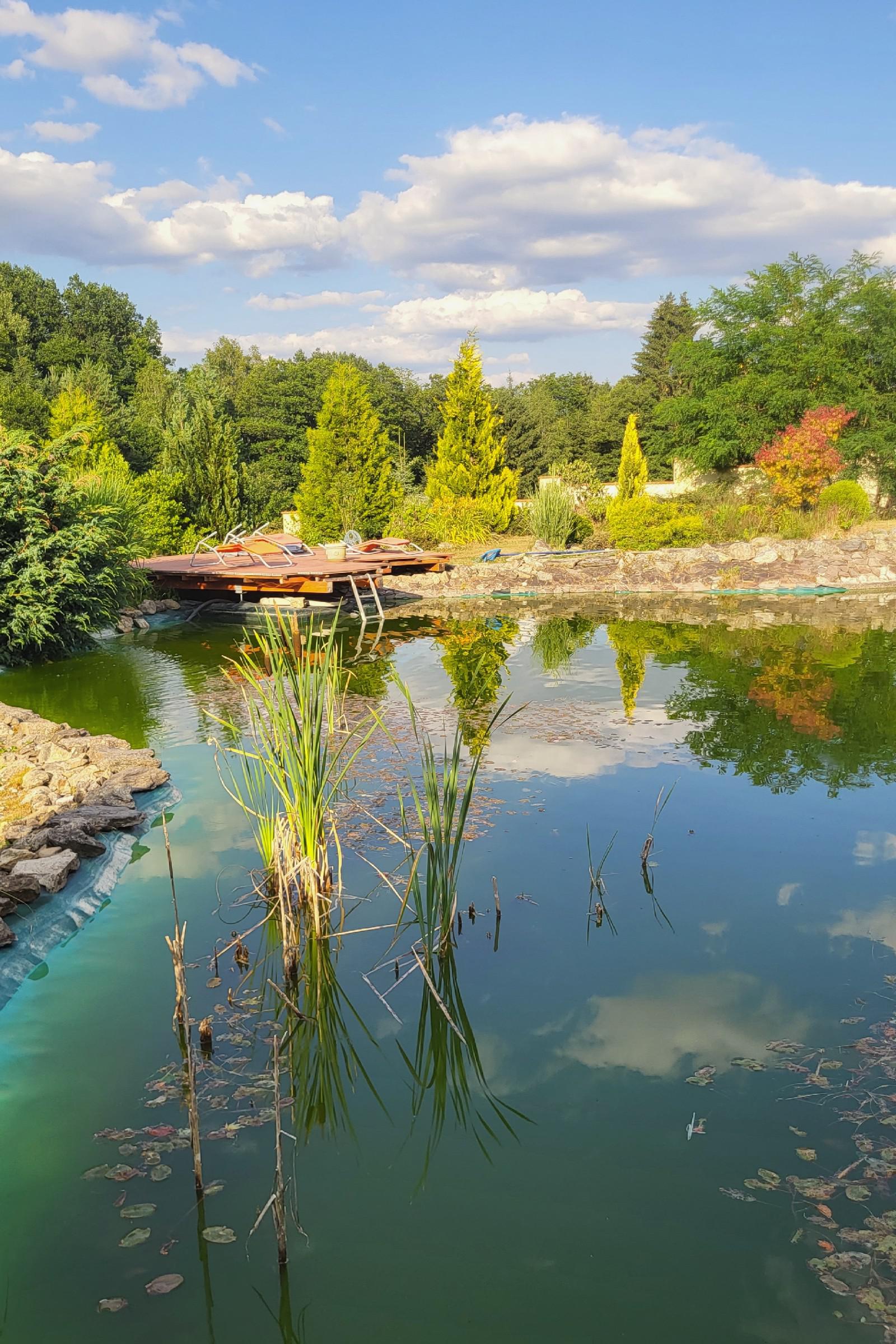 Zámecké apartmány Zdíky foto 3
