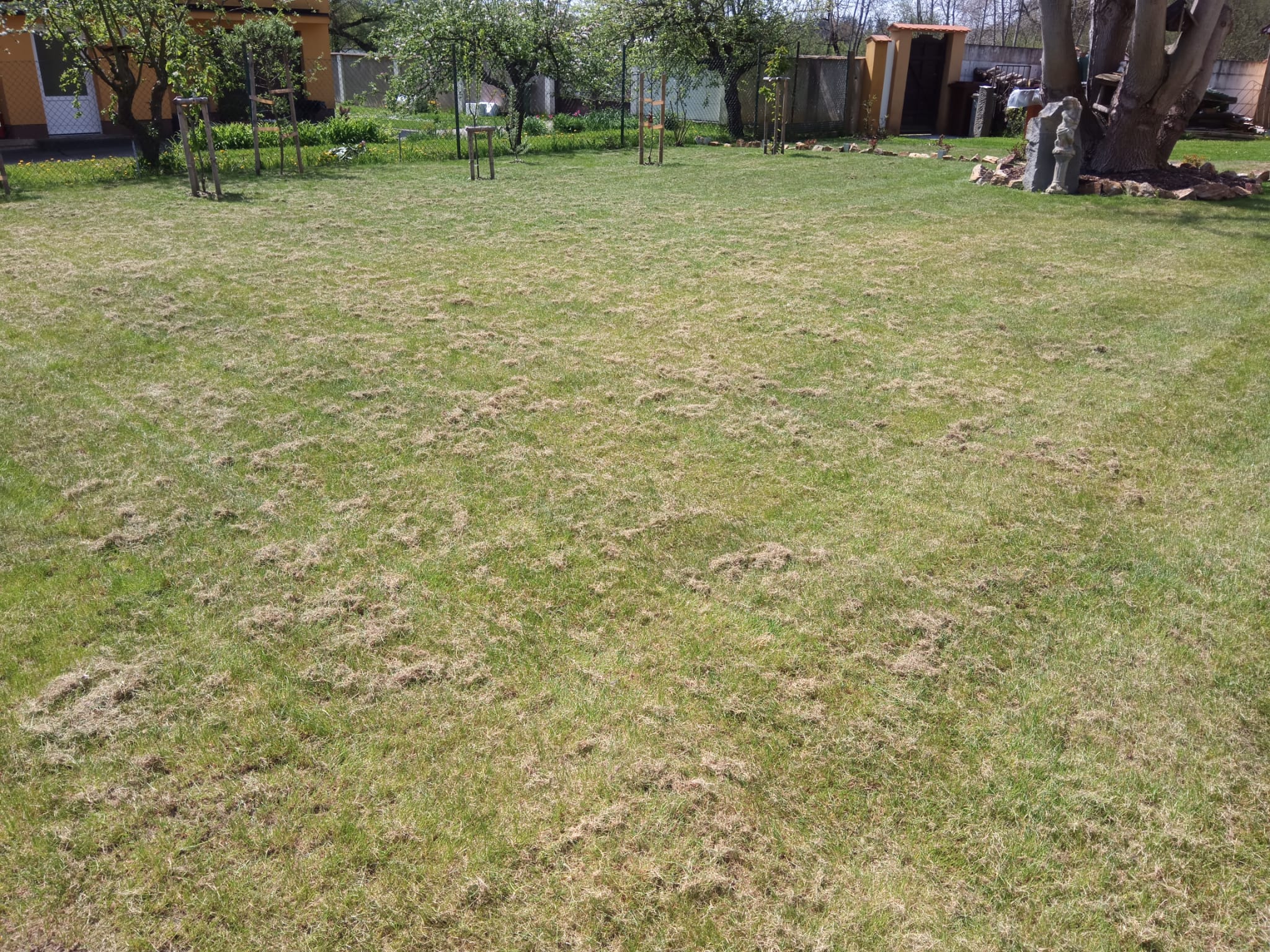 Sečení a údržba travnatých ploch Jiří Andreas foto 4