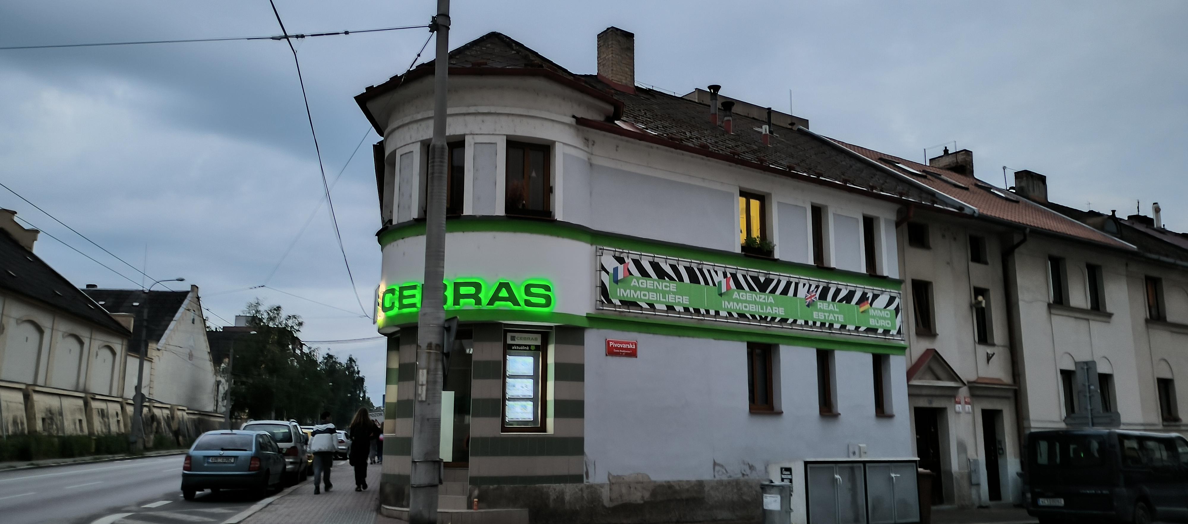 Cebras foto 4