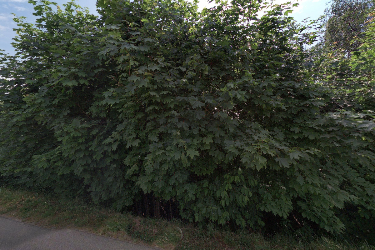 Infocentrum - Vojenské centrum Králíky foto 5