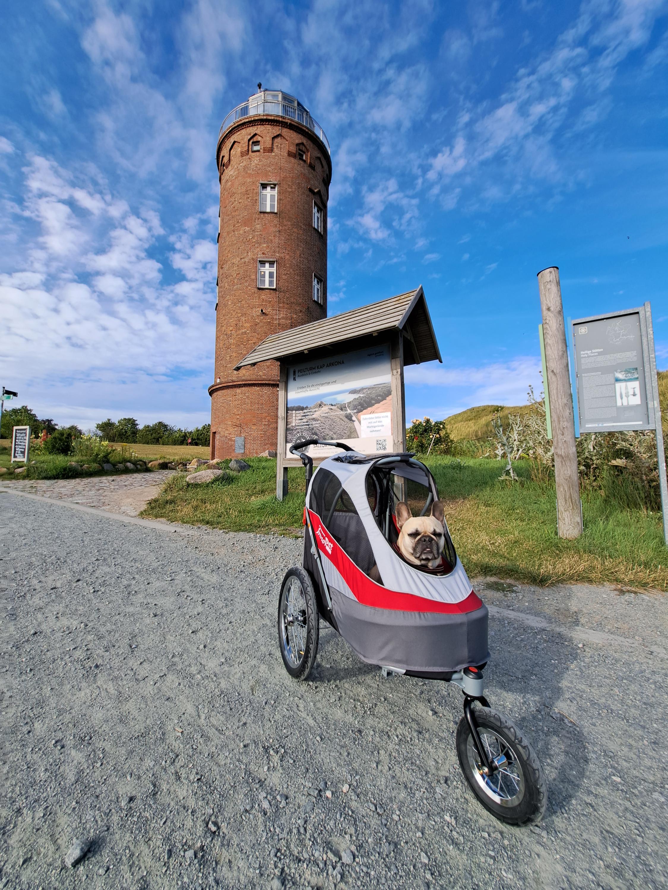 Innopet.cz foto 5
