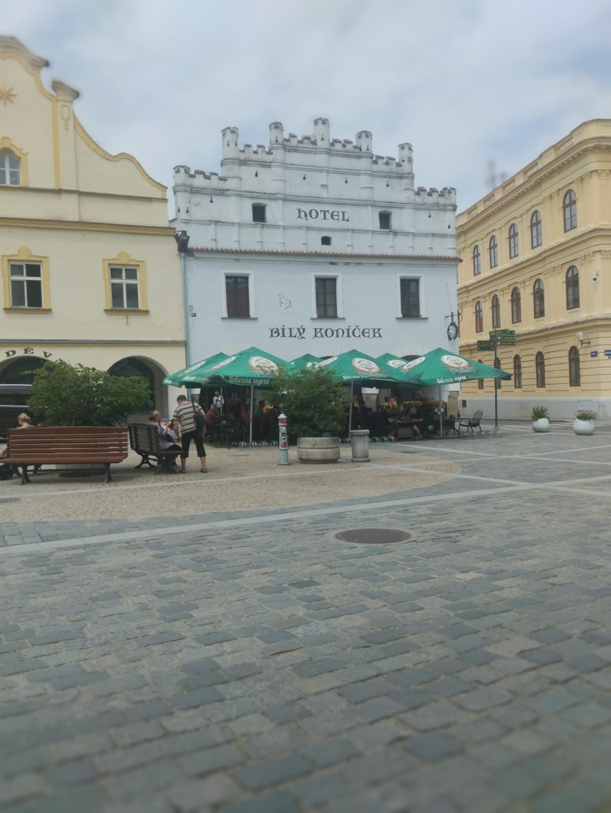 Restaurace Bílý koníček foto 4