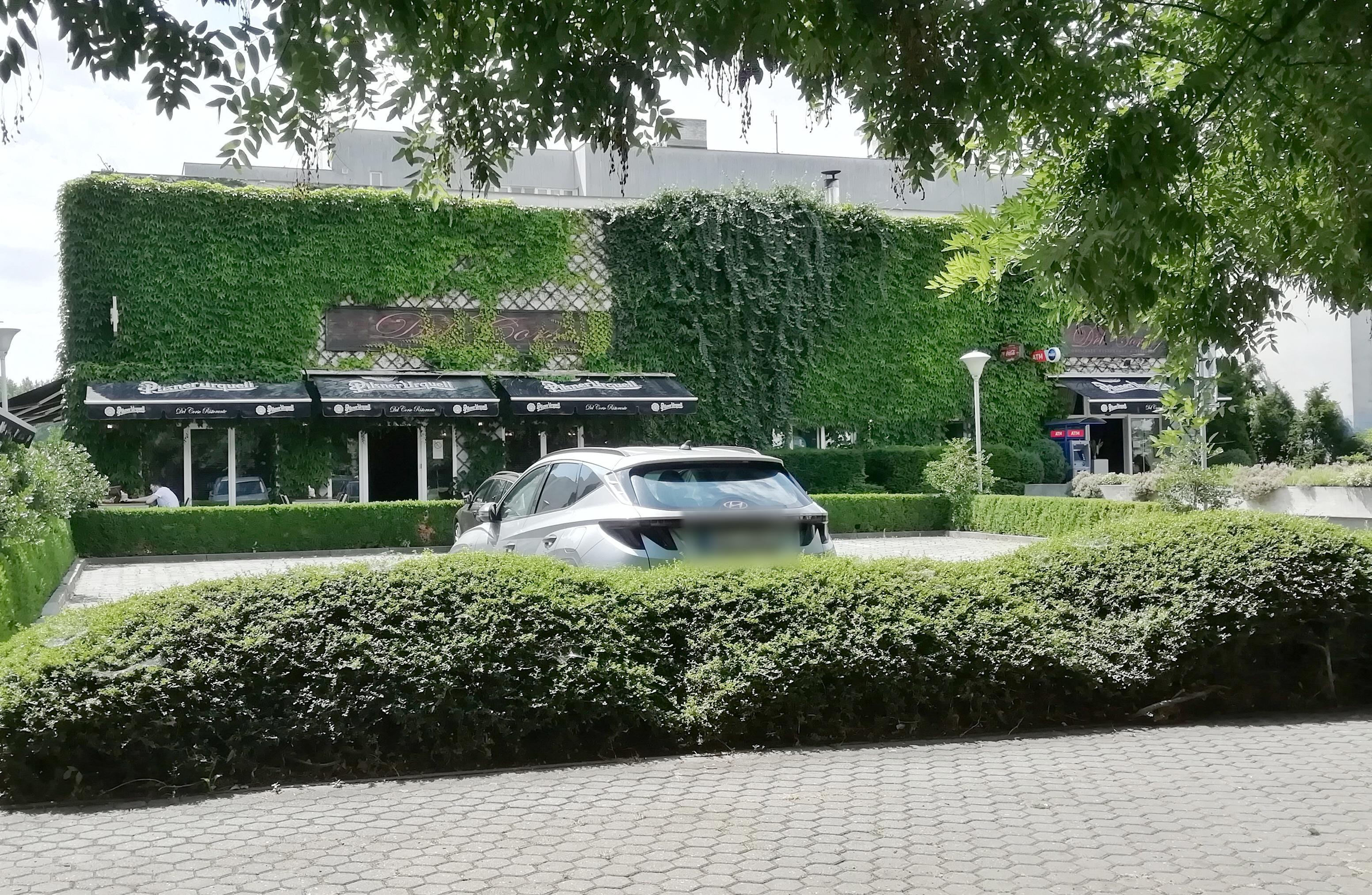 Ristorante & pizzeria Del Corso foto 3