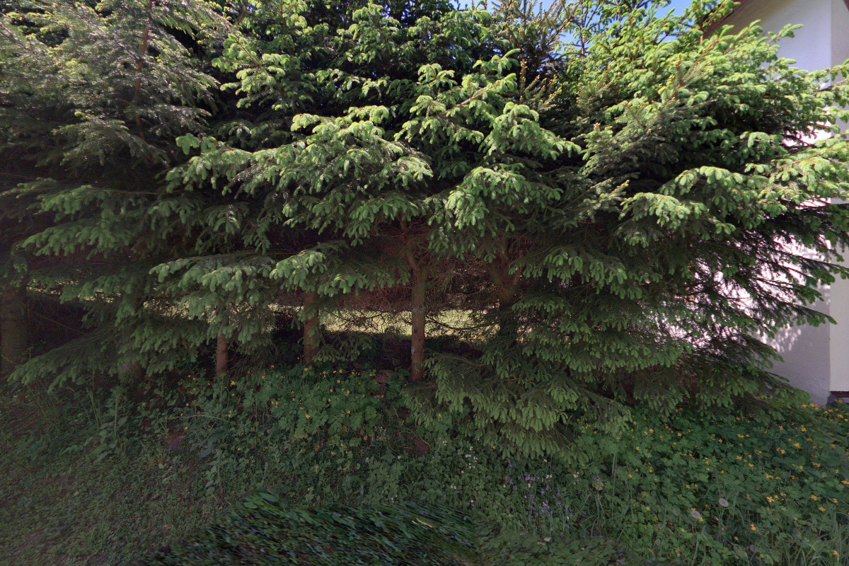 Pečovatelská služba Rokytnice v Orlických horách