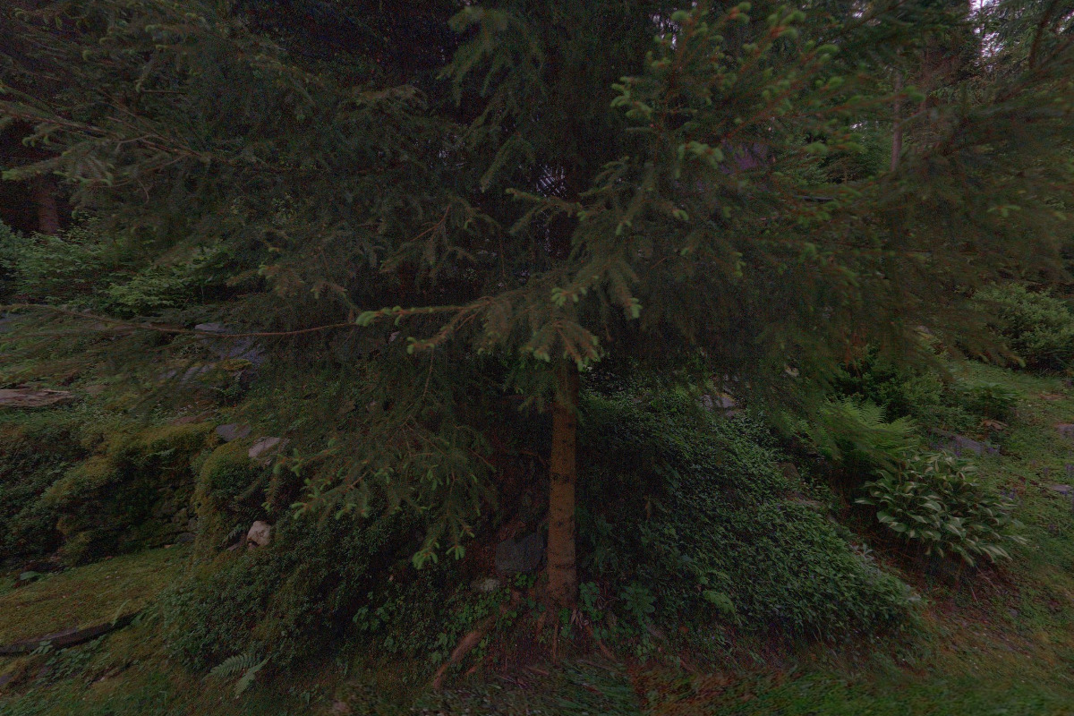 Orlické hory - Kounov Pronájem chalupy foto 5