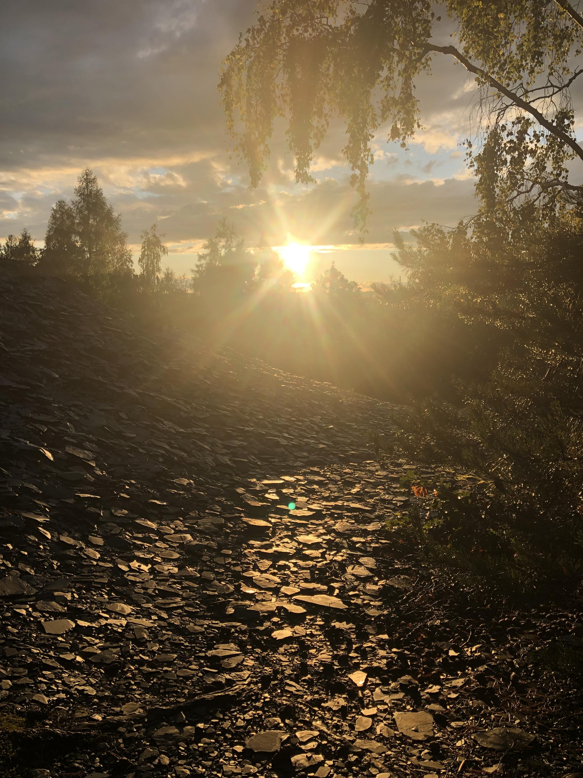 Chata Úplně v lese foto 3