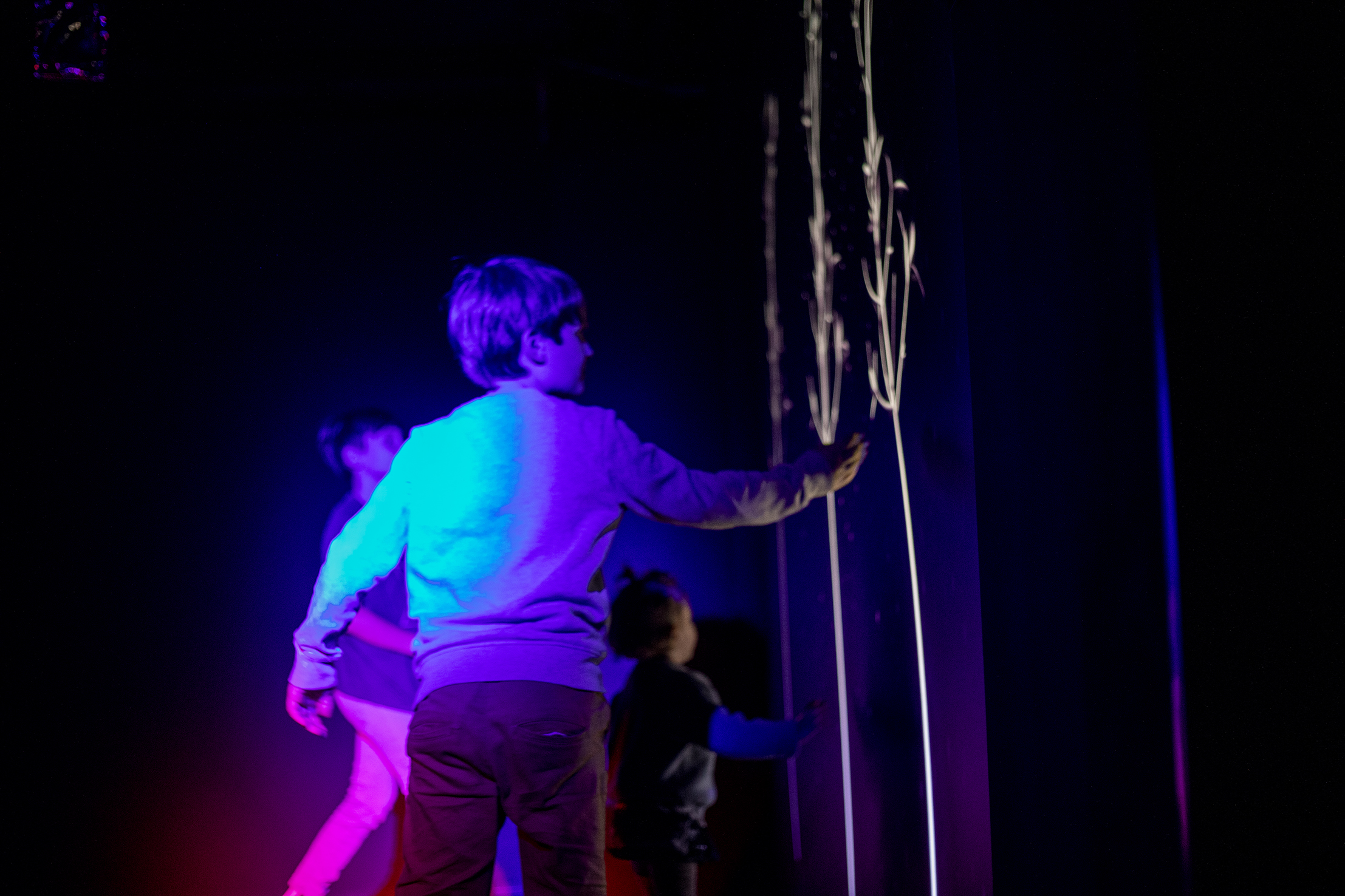 Lumia Gallery foto 5