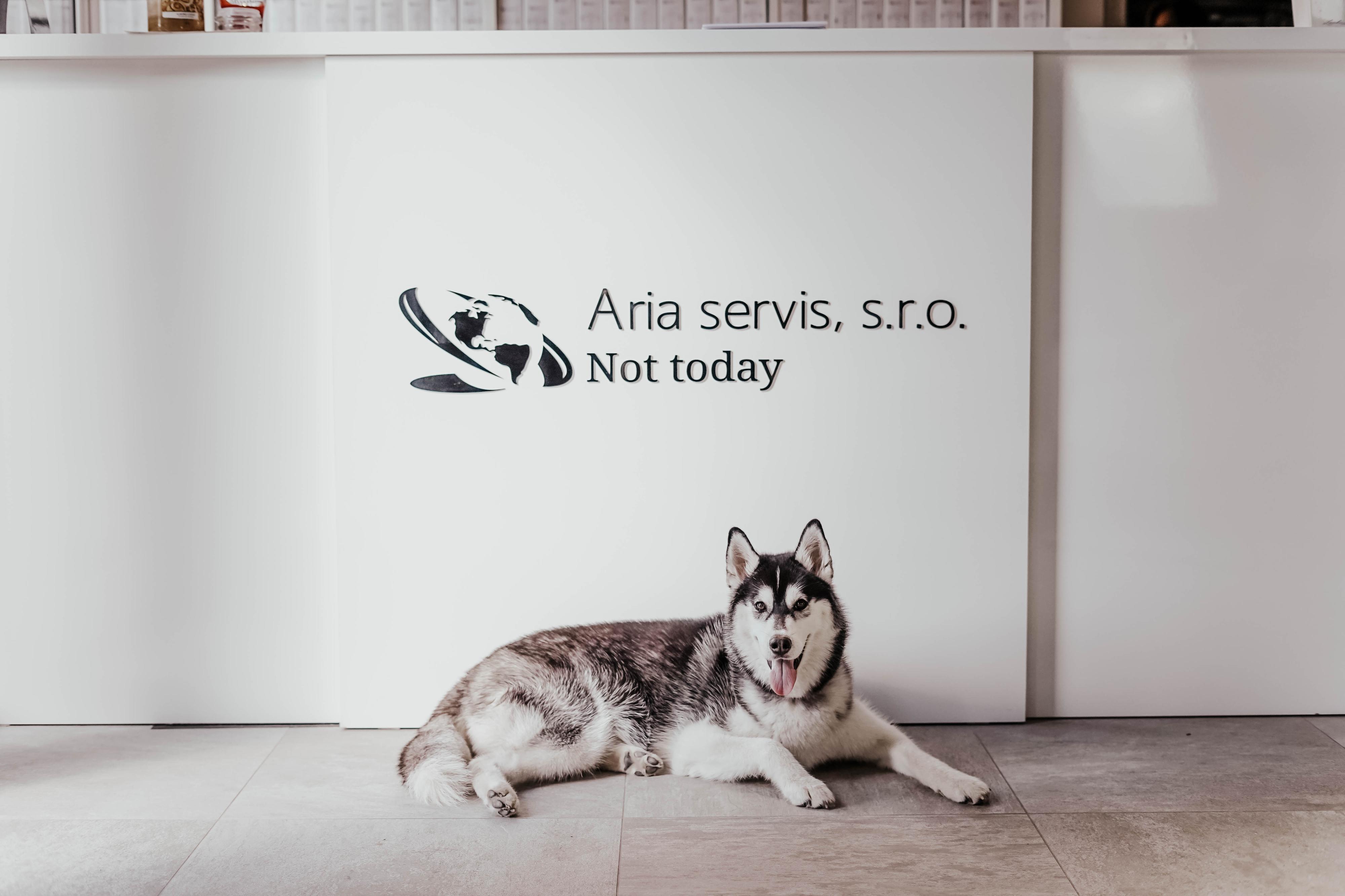 Aria servis, s.r.o. foto 2