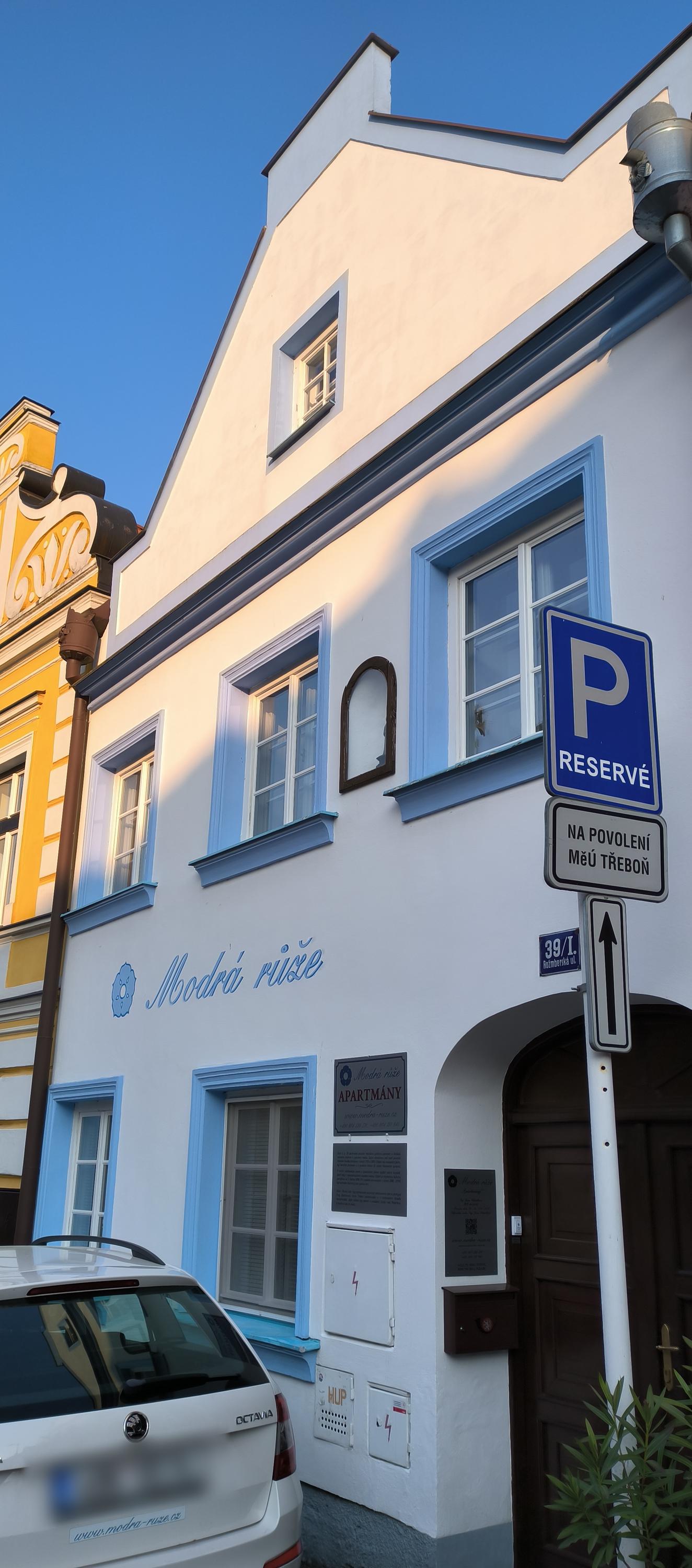 Modrá růže Třeboň foto 5