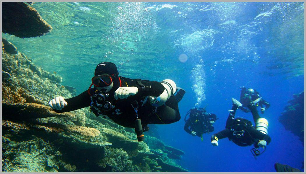 MS Diving / Škola potápění foto 2