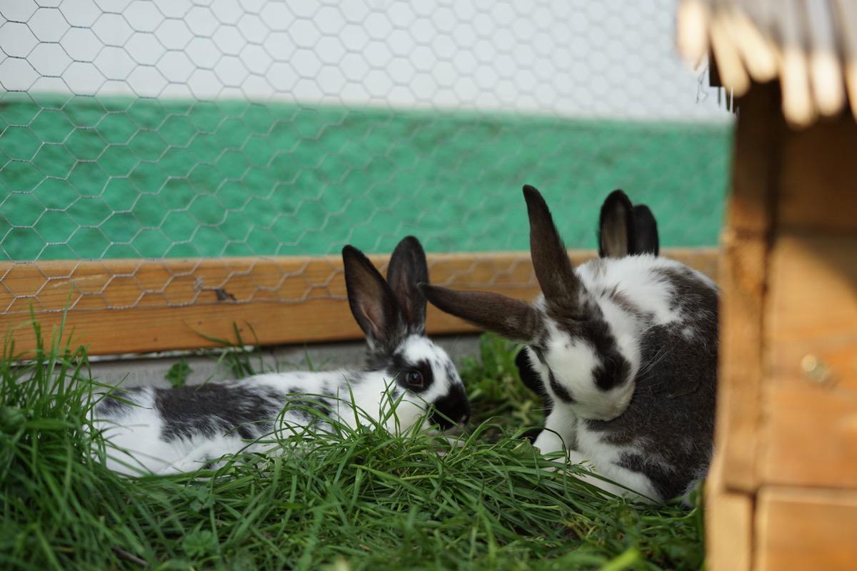 Jiří Kočár foto 1