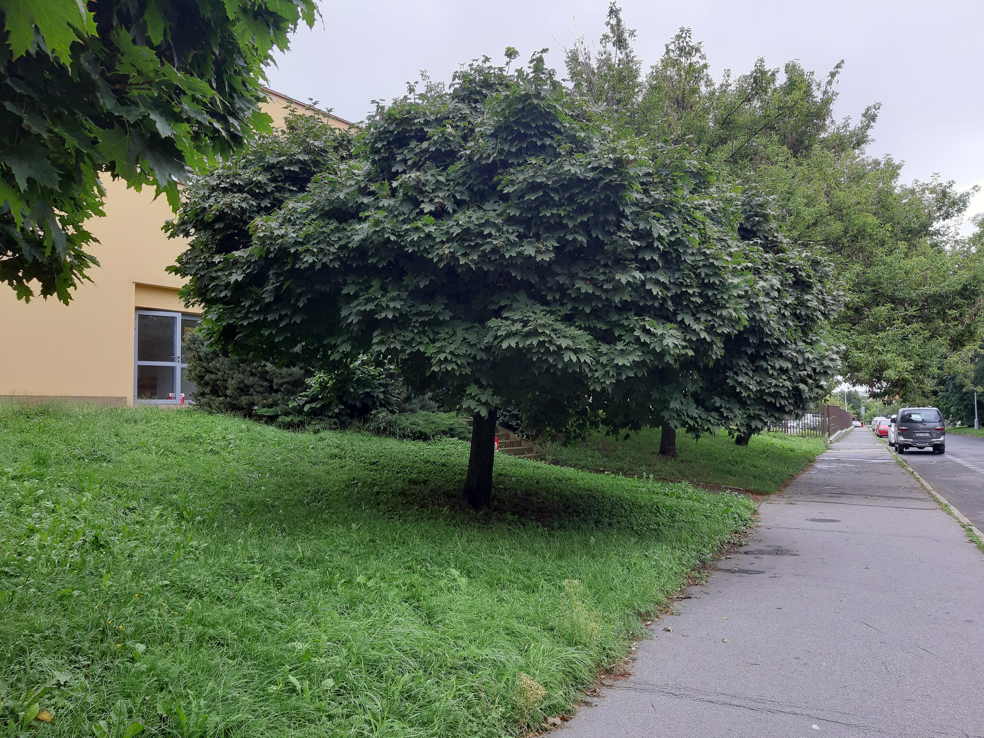 KABINET STUDIA JAZYKŮ, ÚJČ AV ČR foto 5