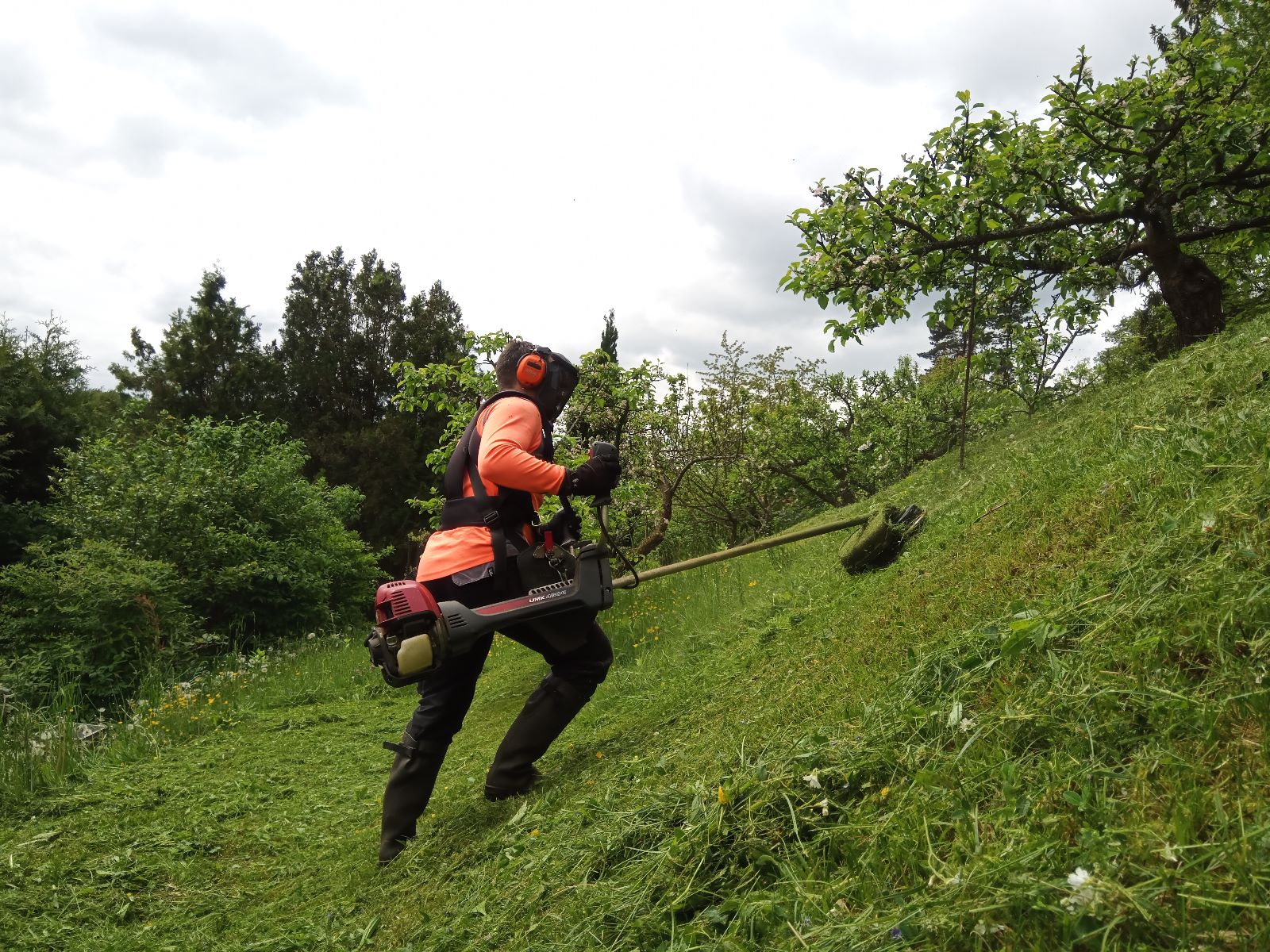 Sečení a údržba travnatých ploch Jiří Andreas foto 3