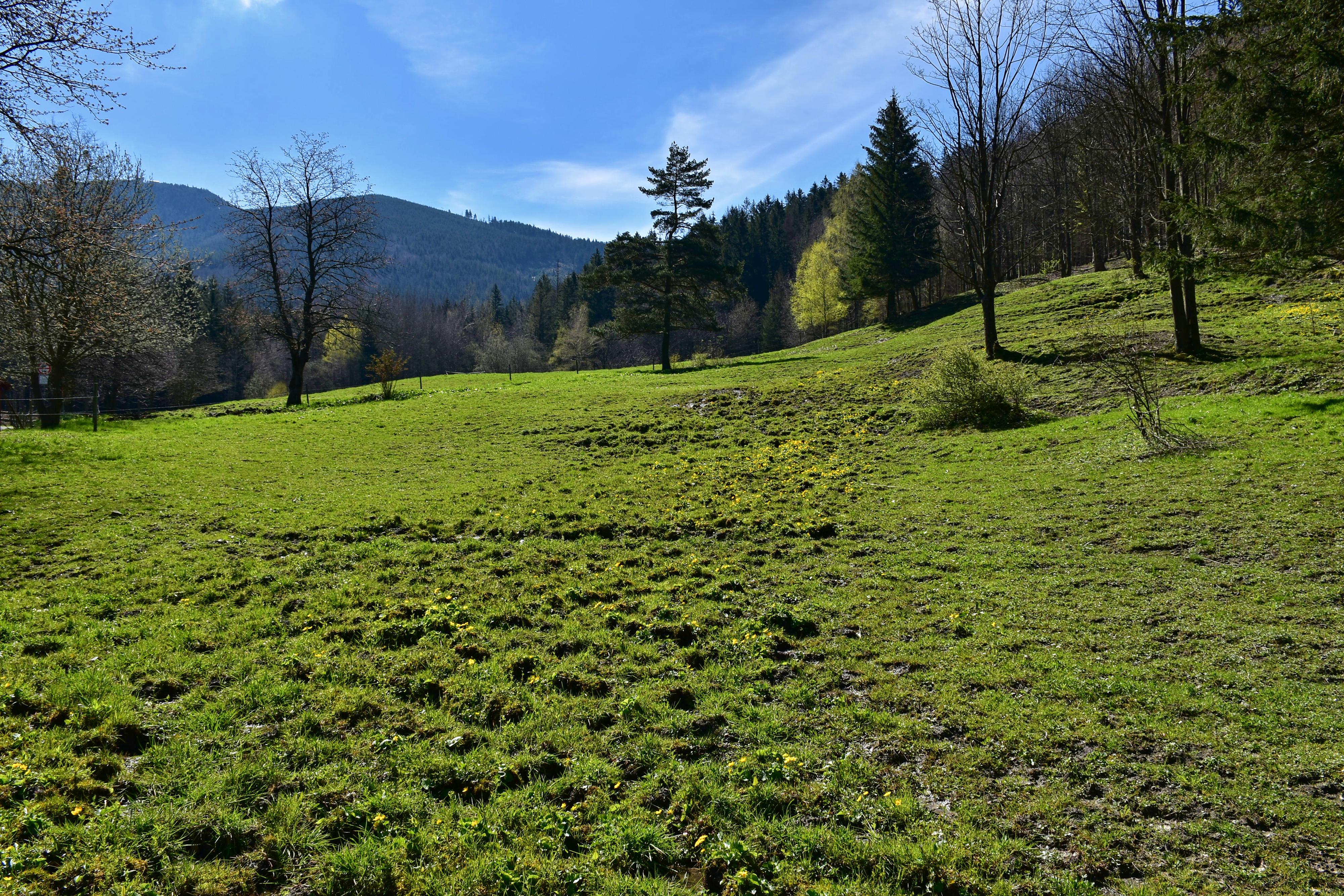 Jízdárna Malenovice foto 2