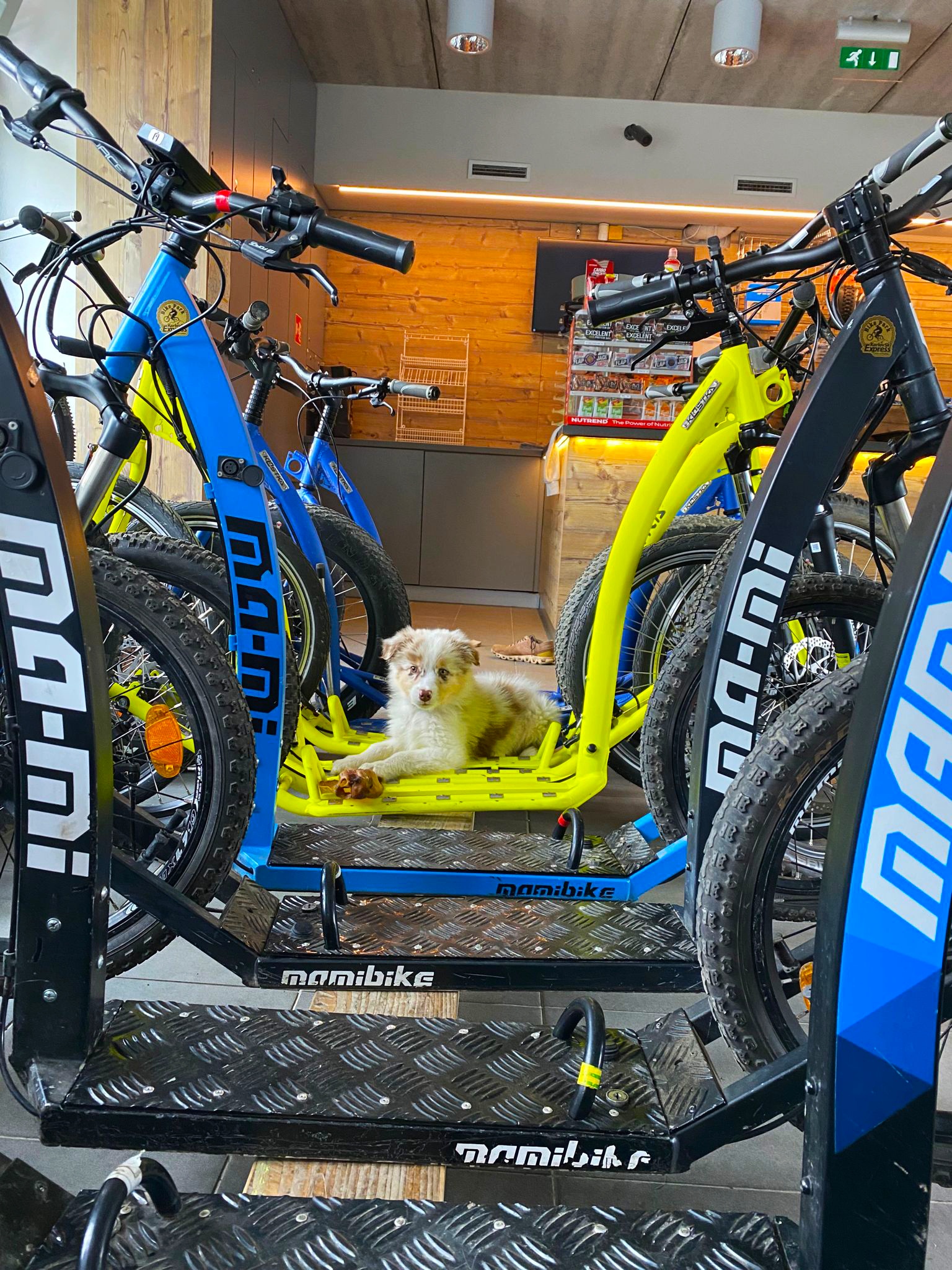 Ski Aréna Karlov - půjčovna foto 2