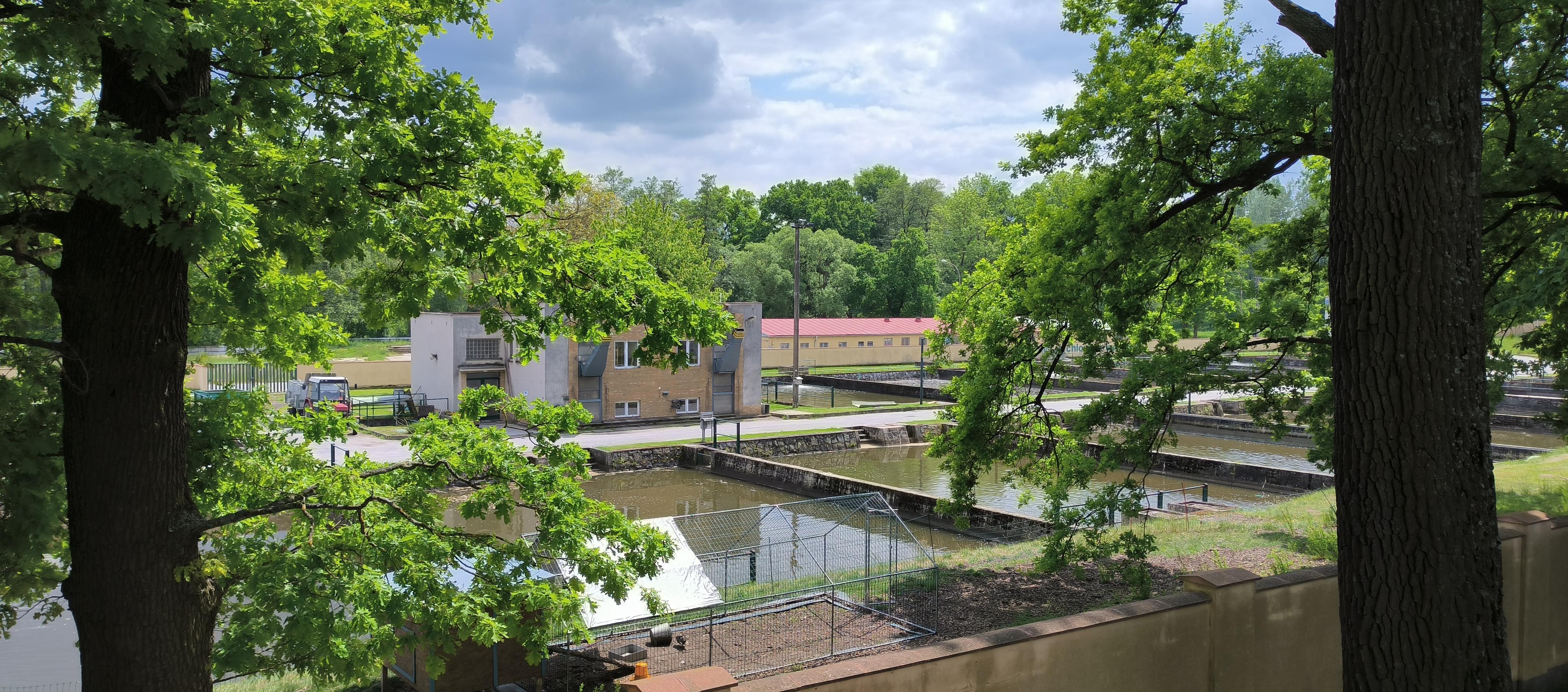 Prodejna ryb sádky Třeboň foto 6