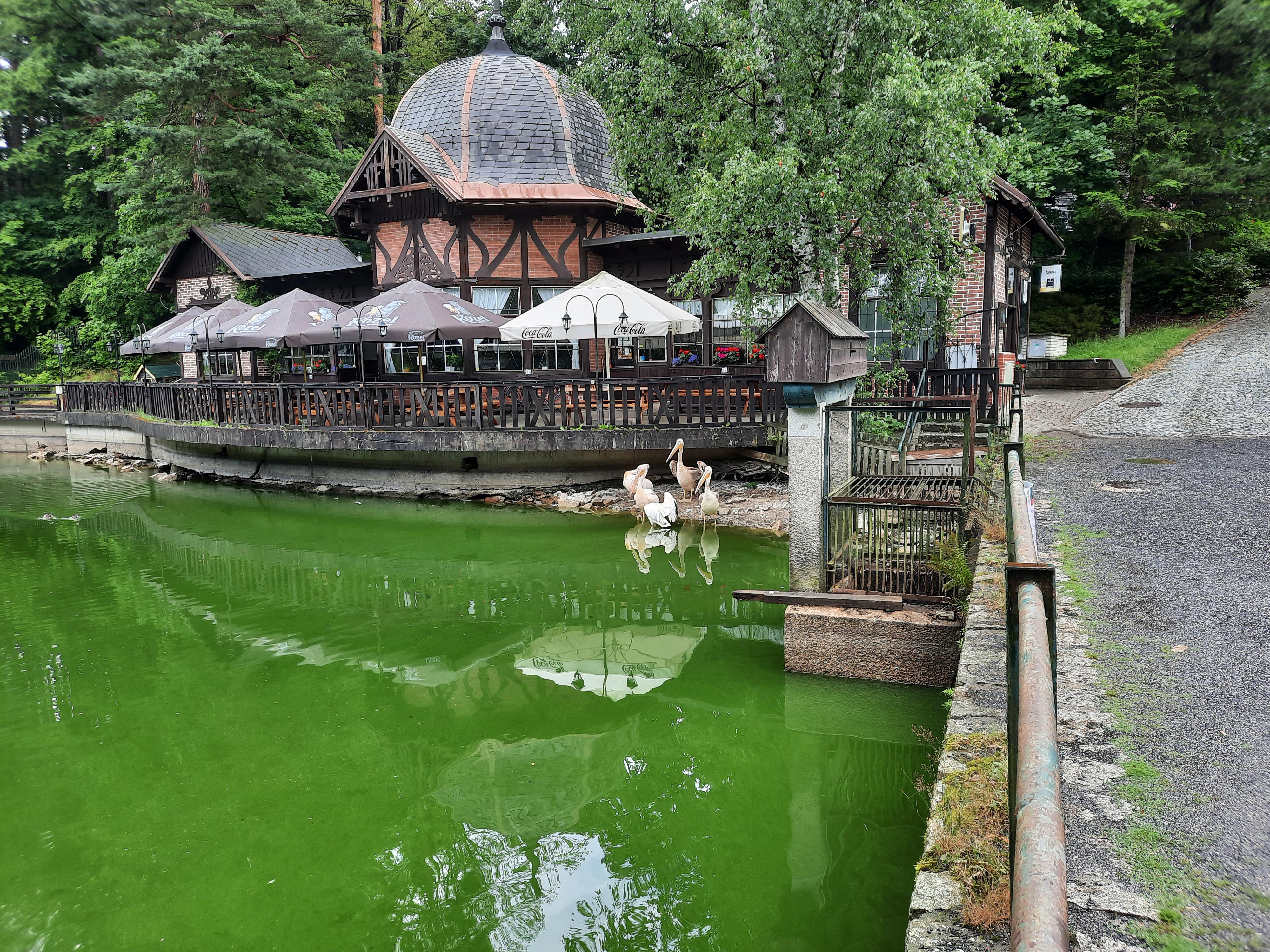 Restaurace Rybářská Bašta Liberec foto 6