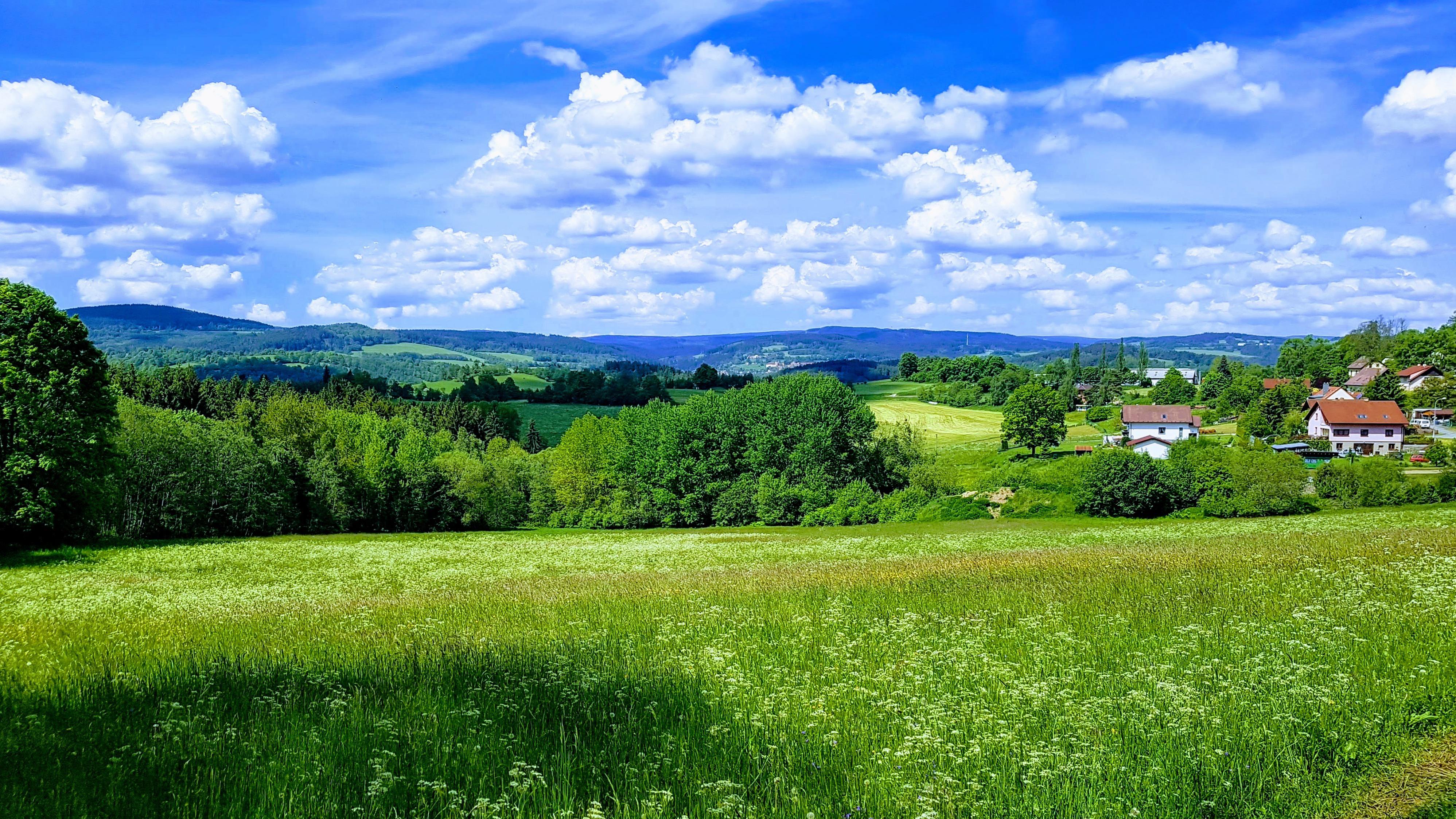 Včelky ze Svaté Maří foto 2
