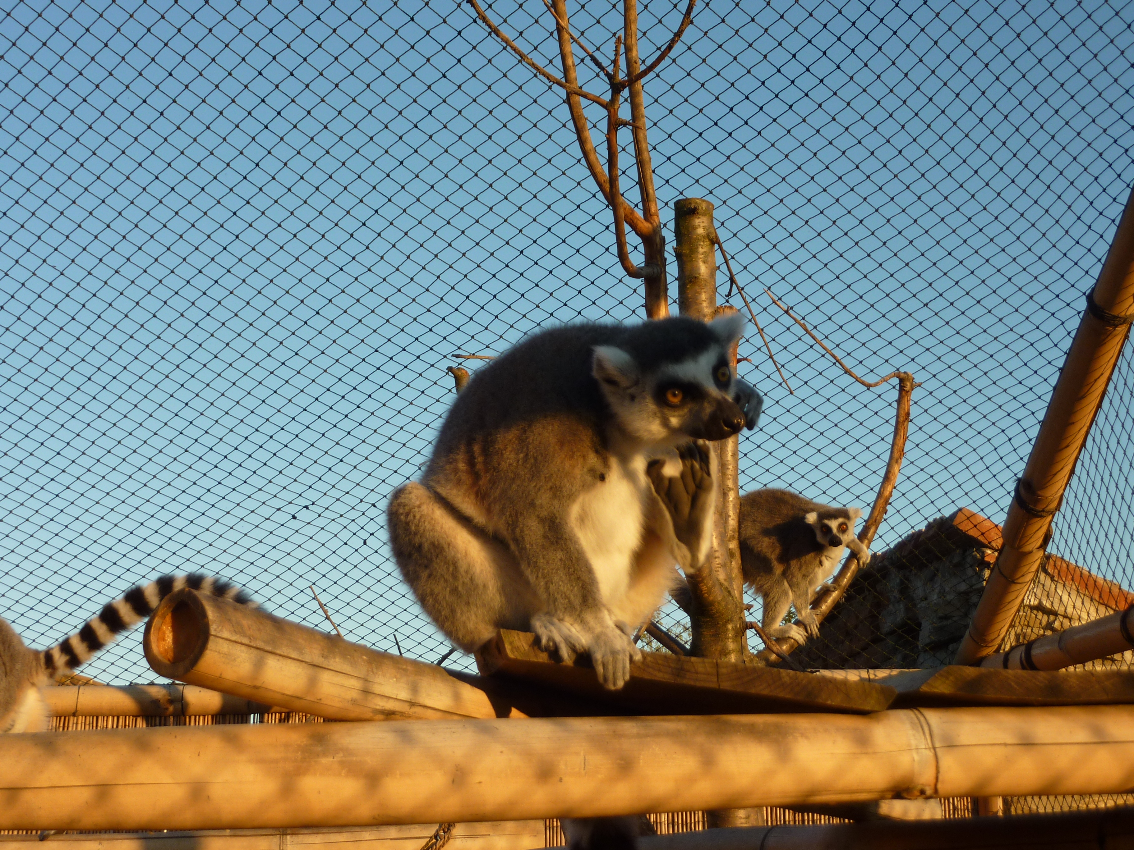 ZOO PARK Vyškov foto 6