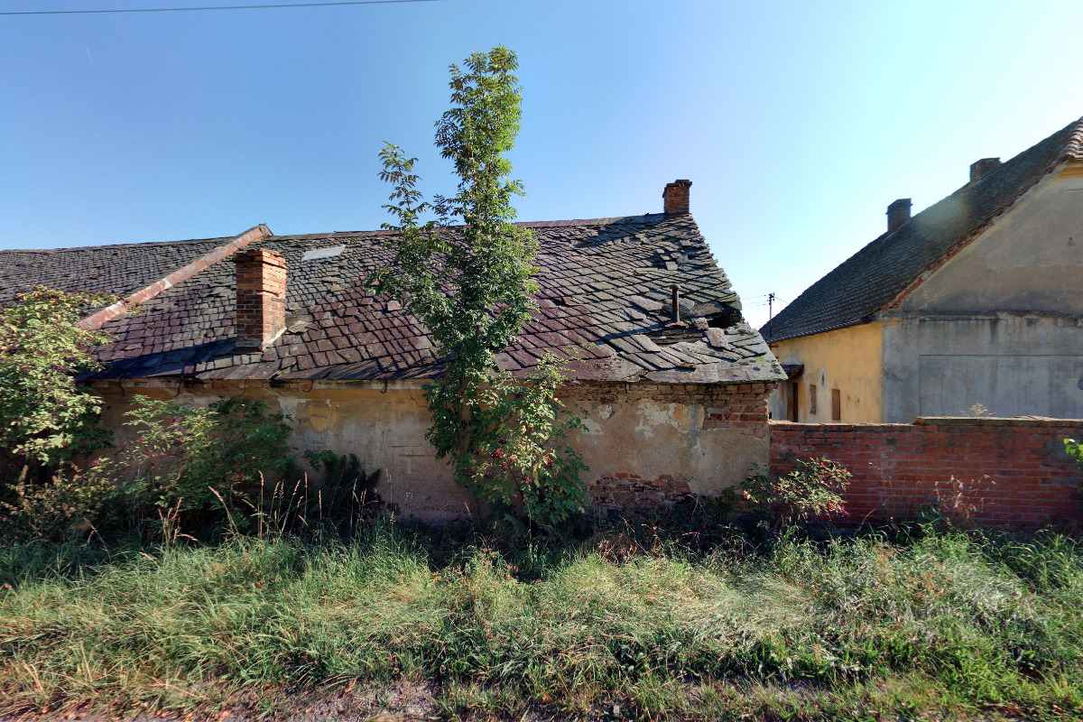 Flyball Club České republiky