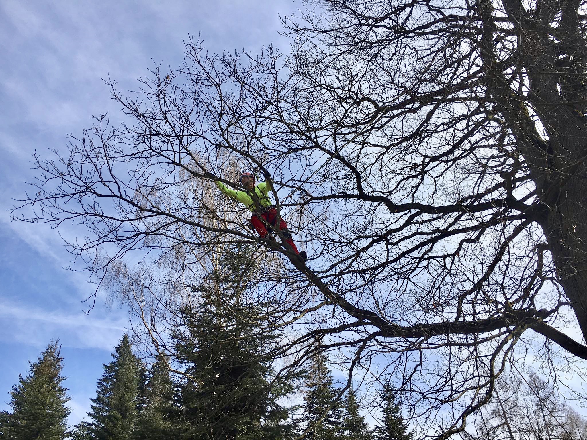 Rizikové kácení Jaroslav Zavřel foto 2