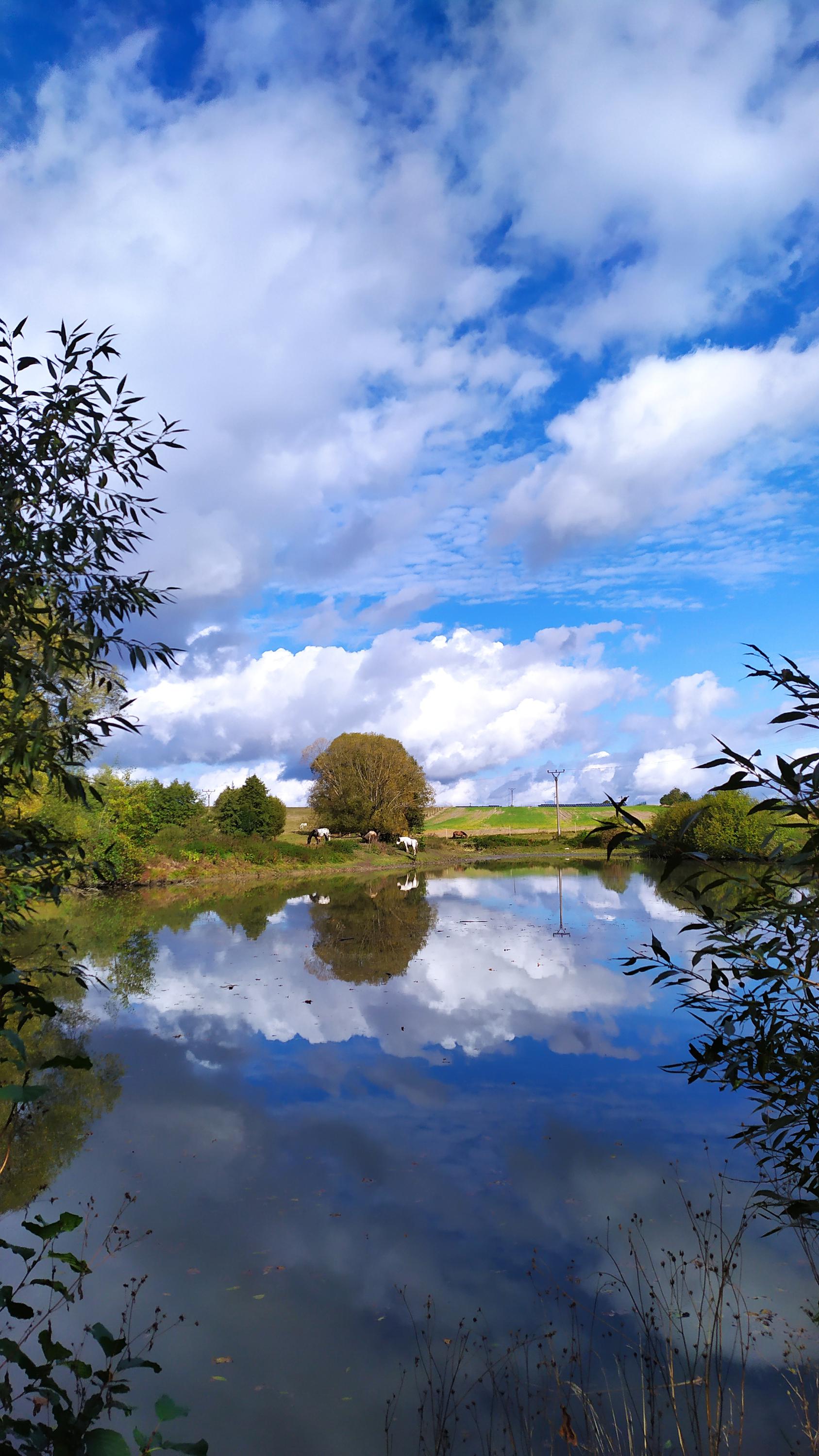 Ubytování na ranči s rybařením foto 3
