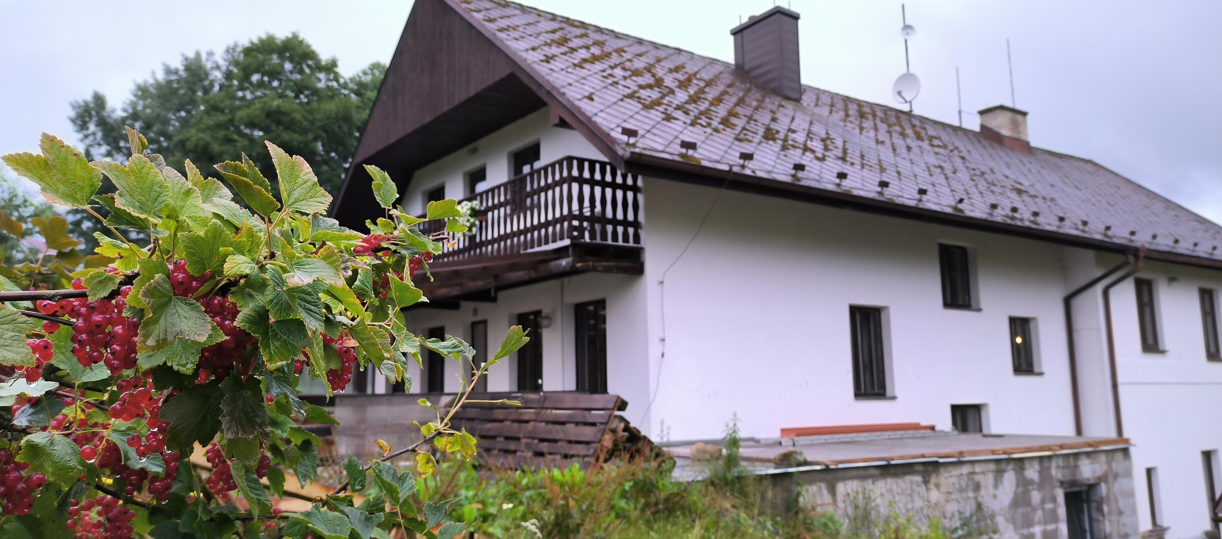 Apartmány Ve Mlejně foto 3