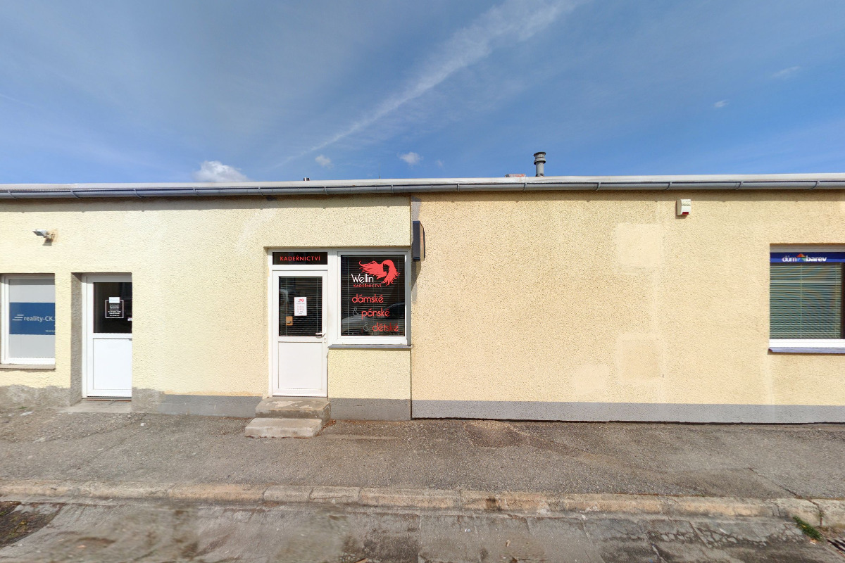 Malířské a natěračské práce Ivan Monych