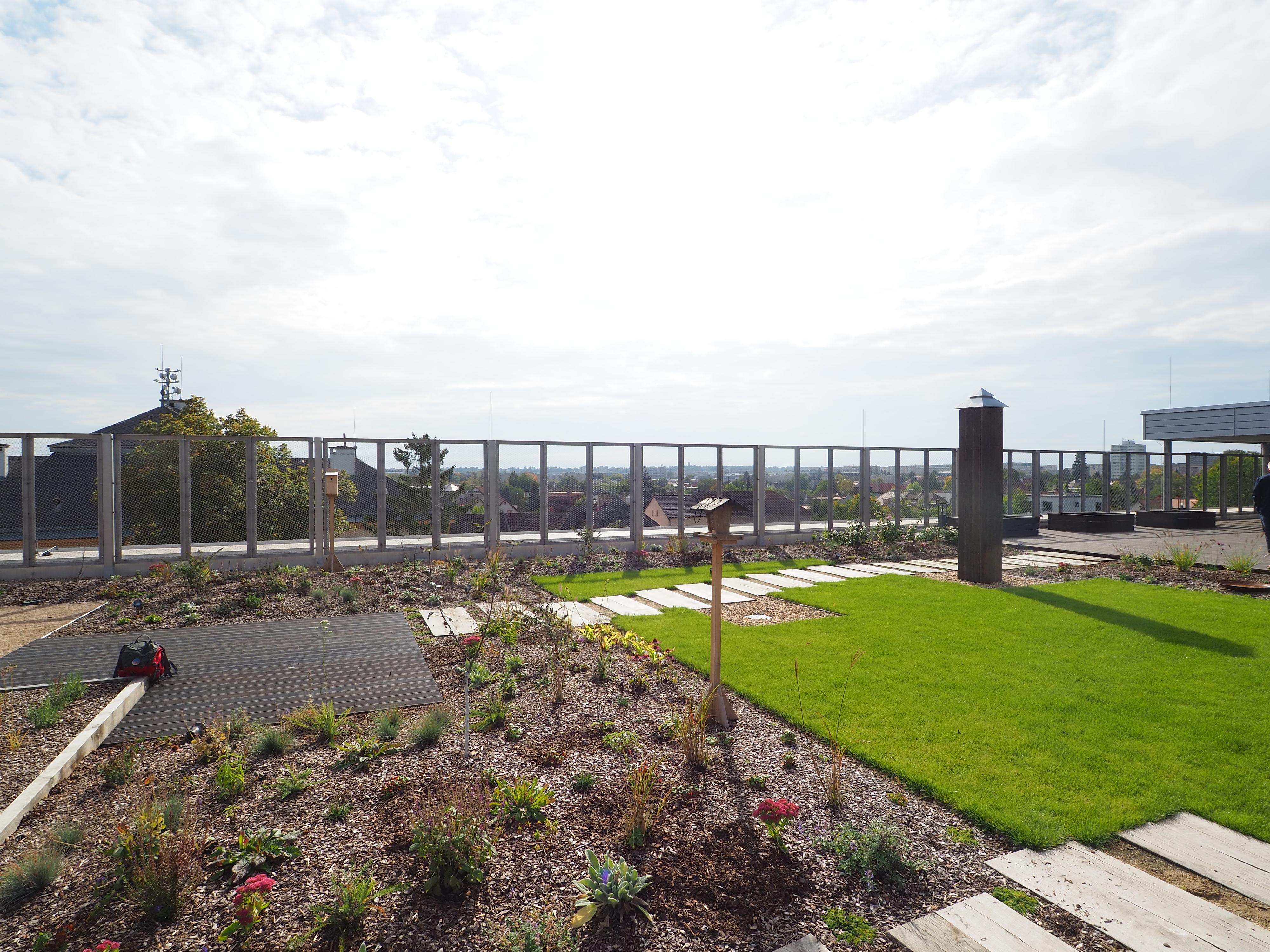 ZŠ a MŠ Hradec Králové, Úprkova 1 foto 3