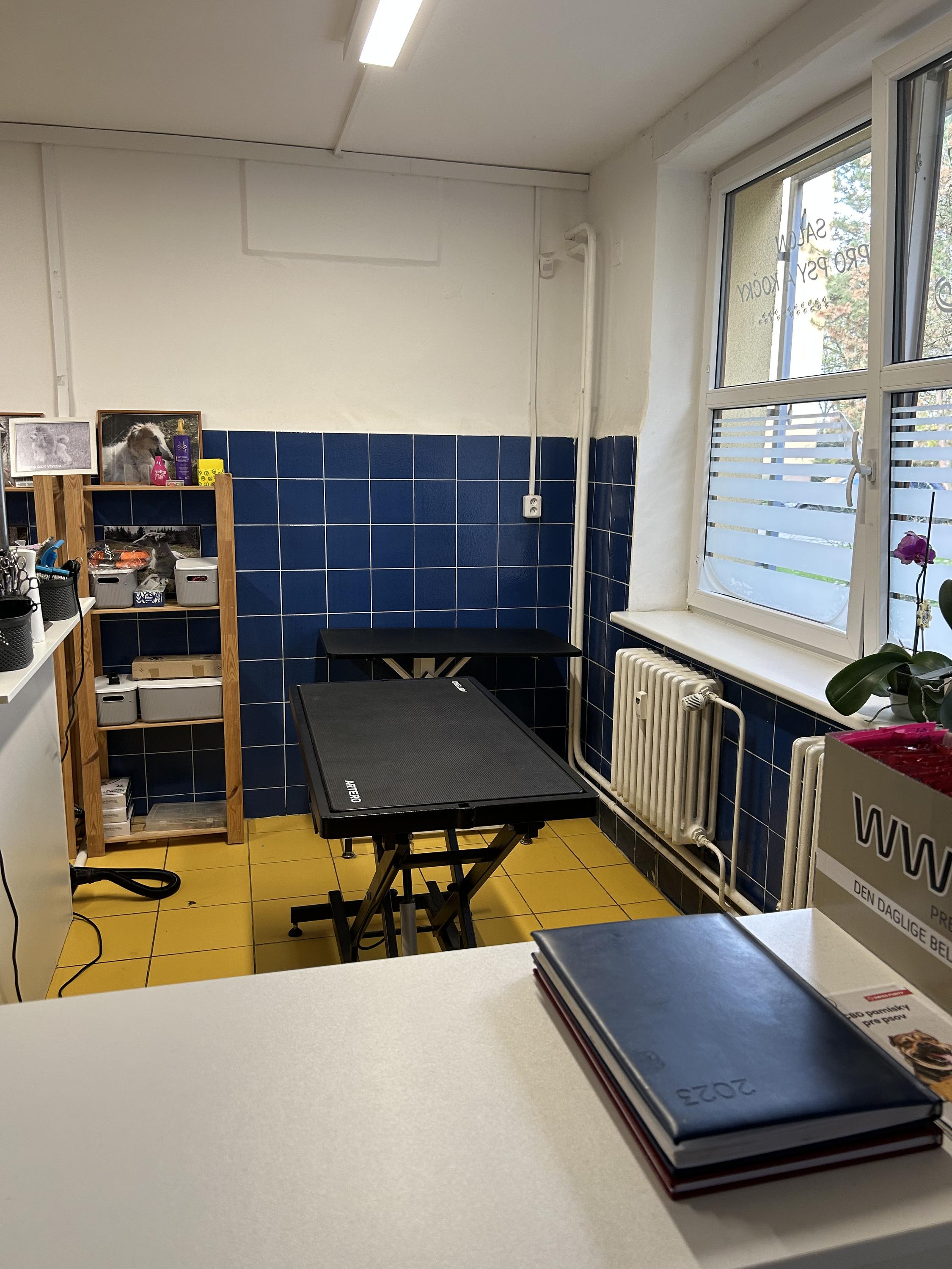 Veronika Fodor - Stříhání psů a koček foto 4