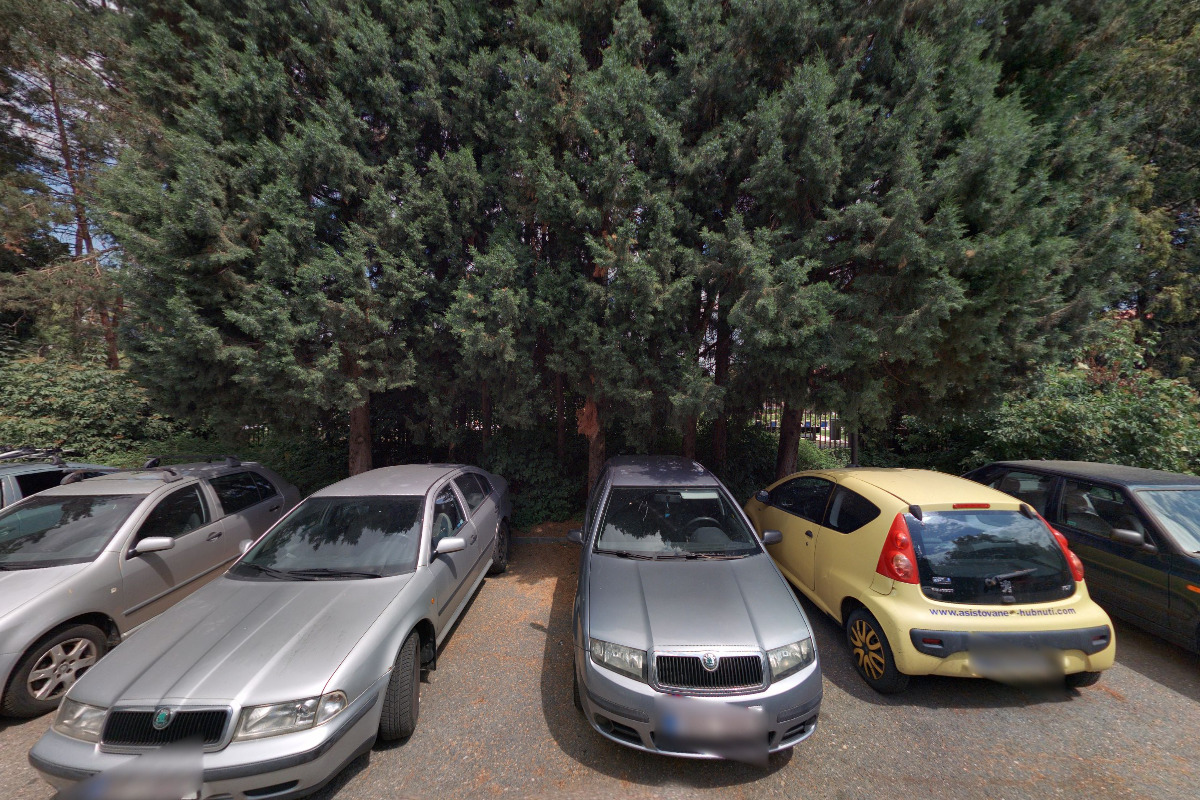 Koupaliště Olomouc