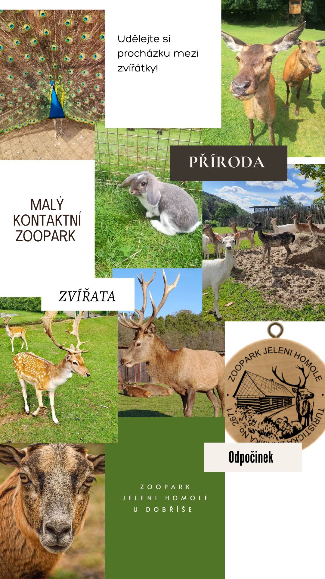 ZOOPARK jeleni Homole, z.s. foto 3