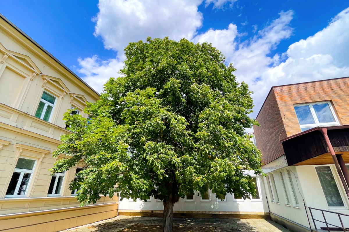 Základní škola Kladruby, okres Tachov