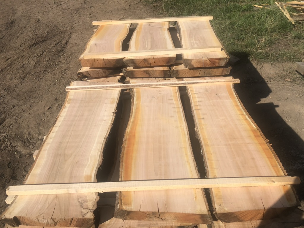 Pila Velký Bor foto 2