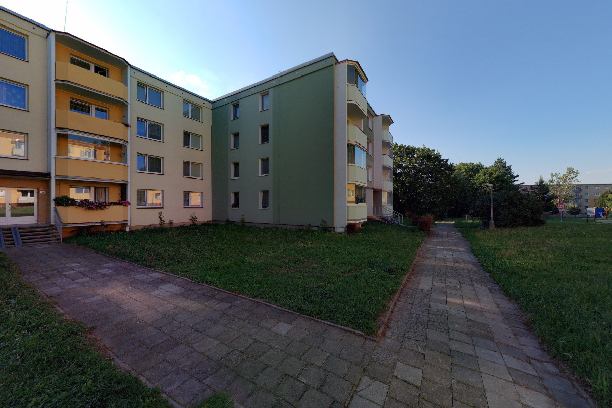 Soyovky - čajové svíčky foto 2