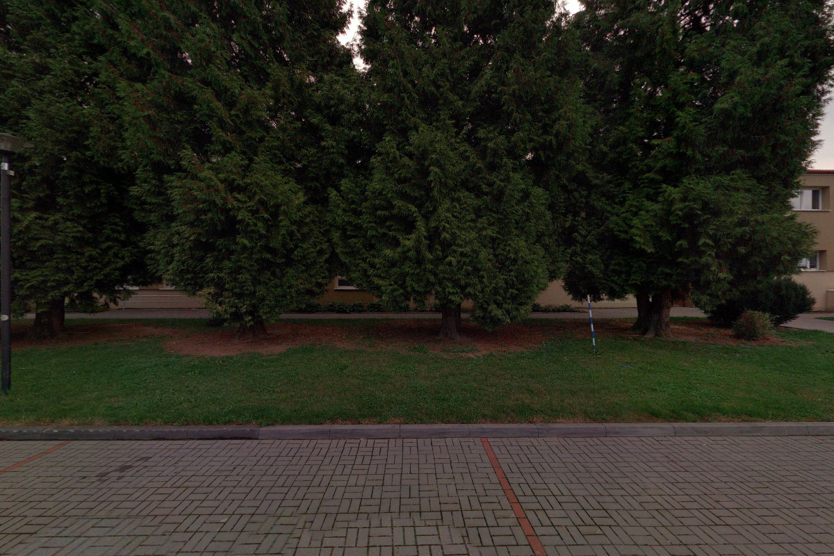 Místní knihovna Troubky