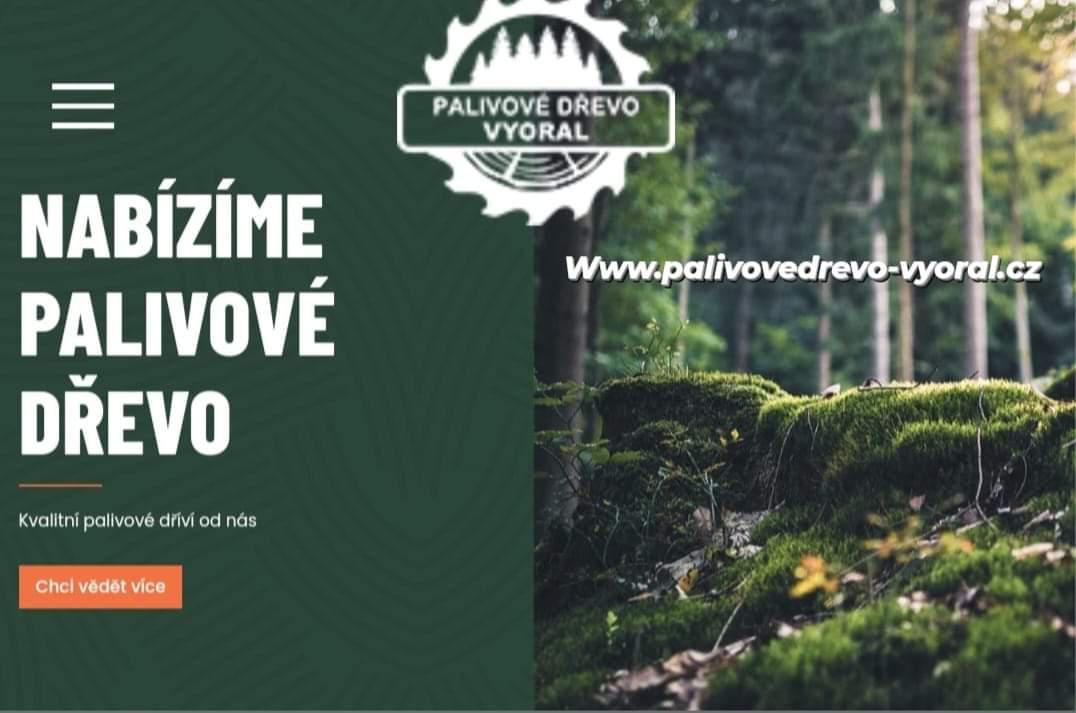 Martin Vyoral - Palivové dřevo foto 2