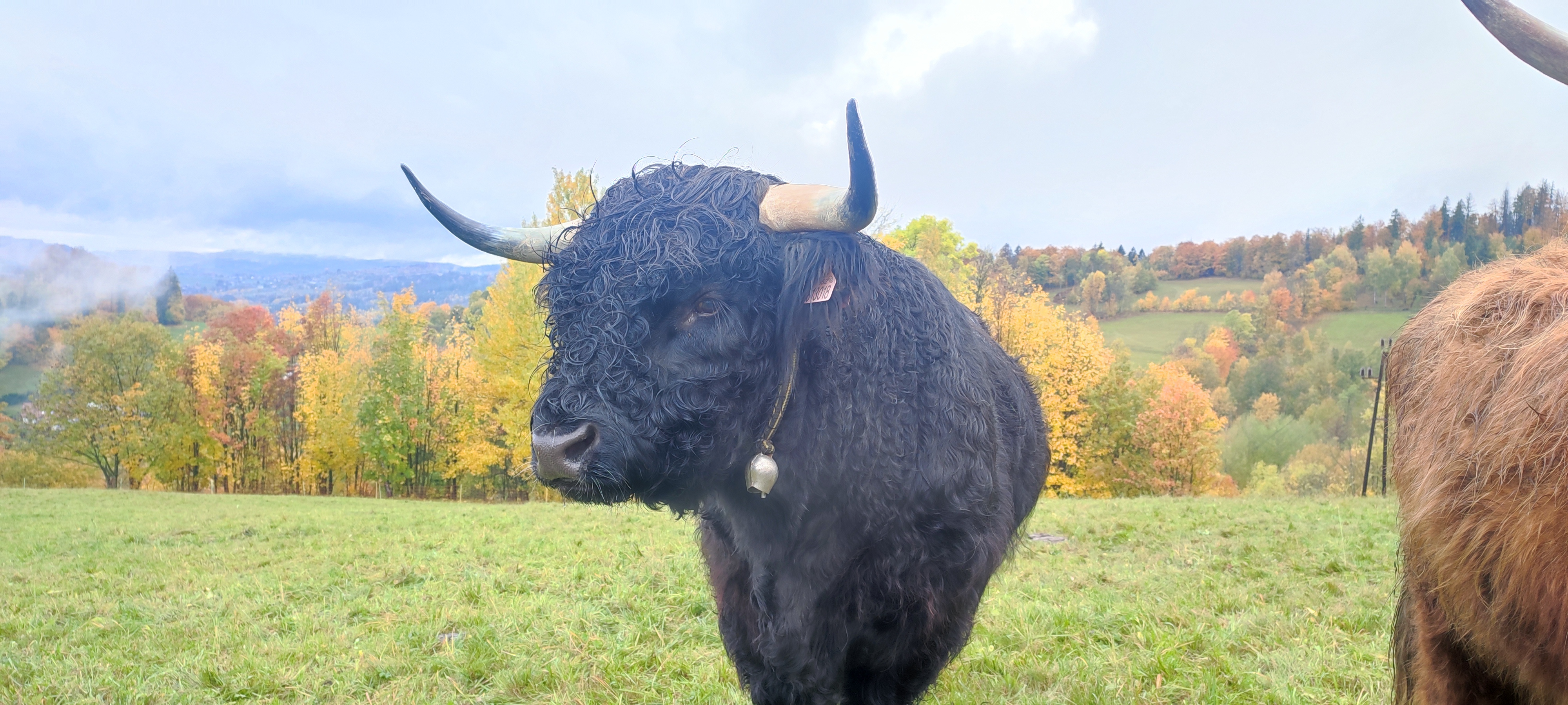 Malá Farma Spálensko - Bratrouchov foto 5