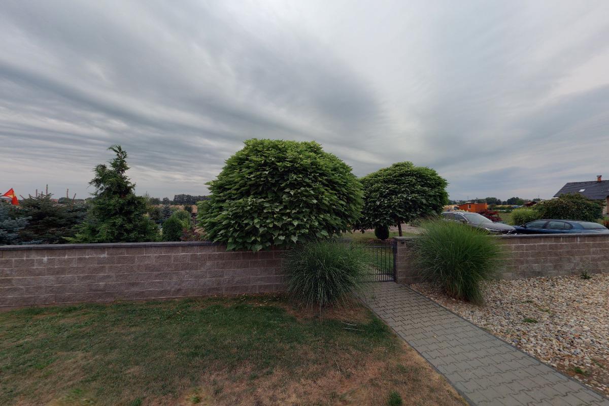 Psi-pamlsky.cz foto 2