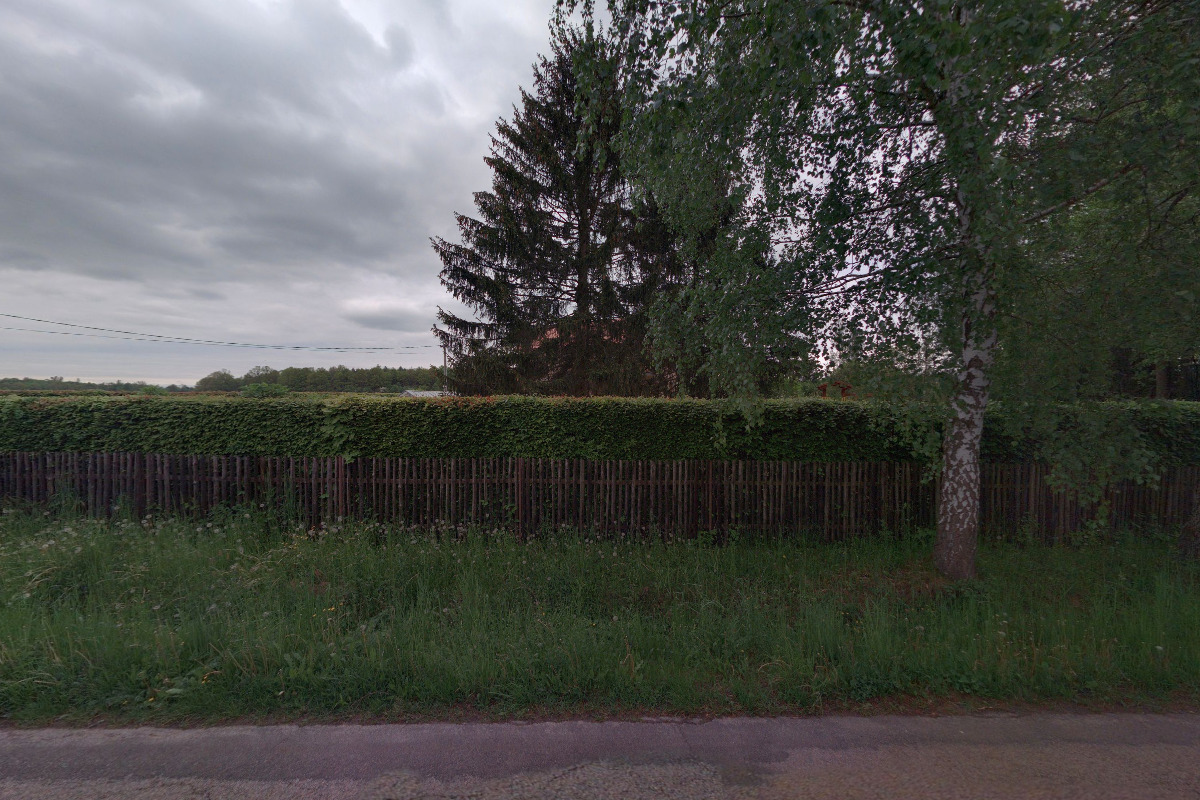 David Tomáš Portrétní fotograf