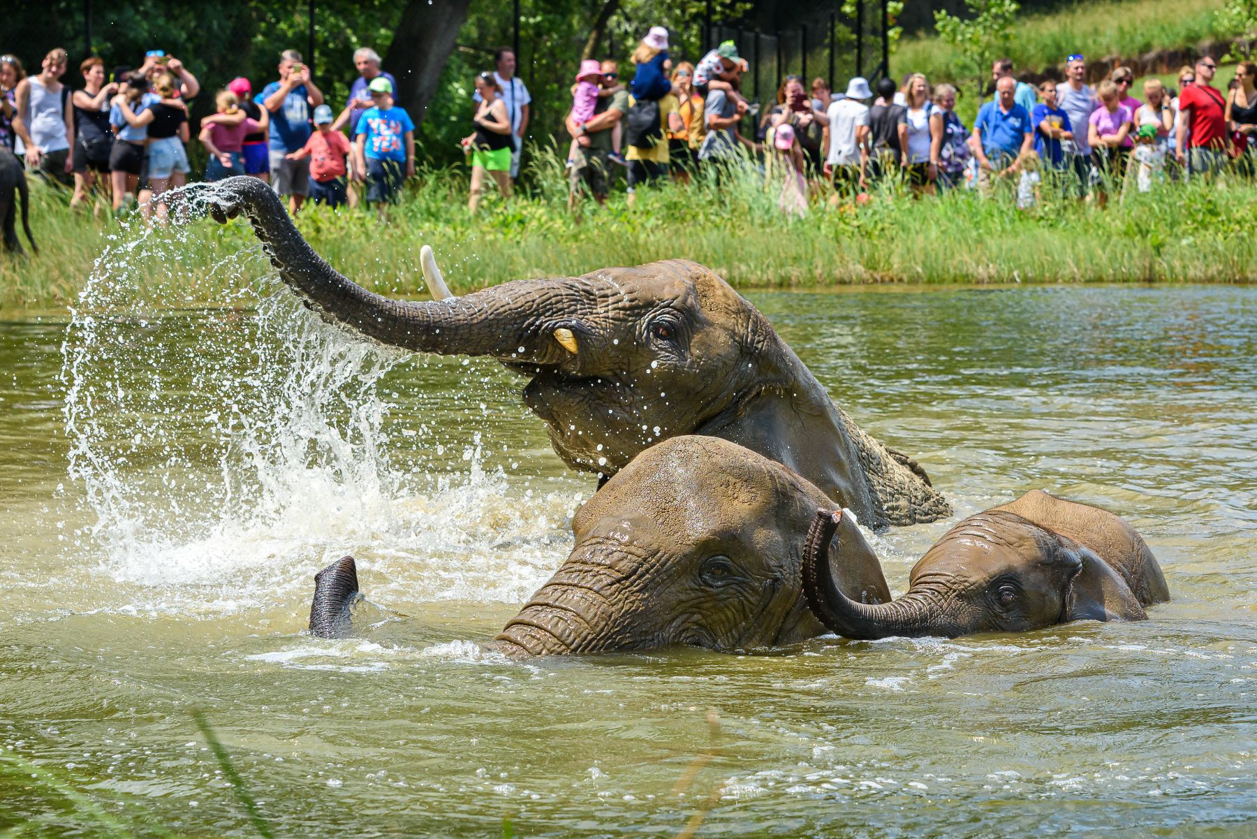 Zoo a zámek Zlín - Lešná foto 3