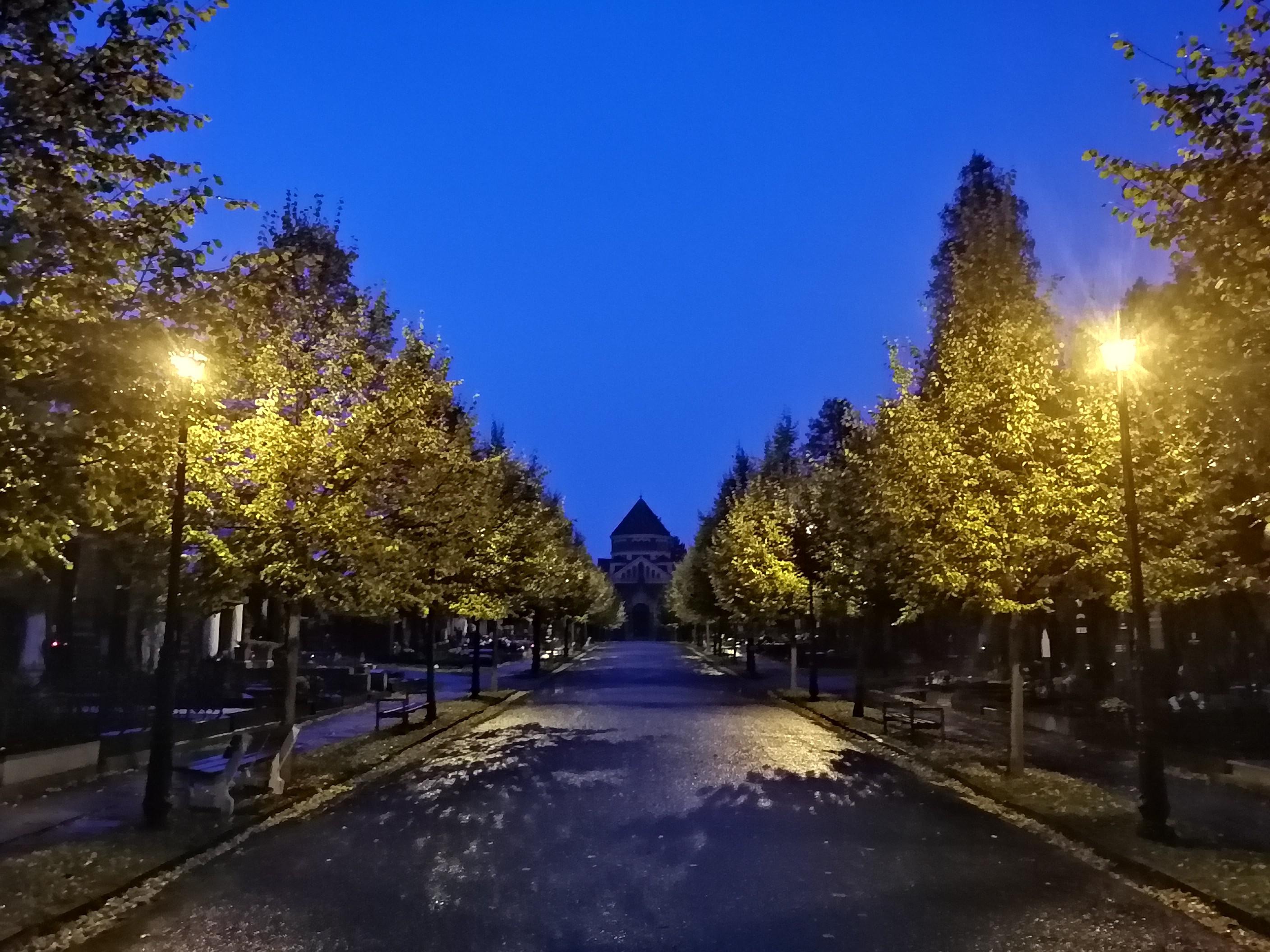 Hřbitovy města Olomouce, p.o. foto 2